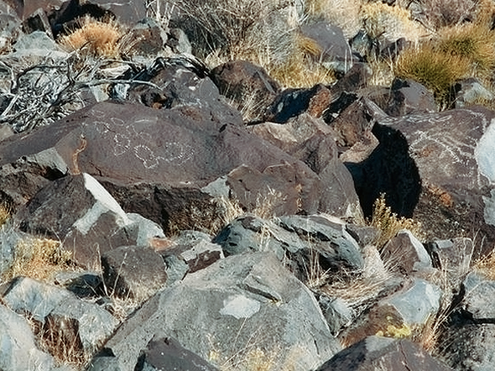 Rock Art Oregon Territory Largomarsino Petroglyphs Pictographs Bradshaw Foundation Archaeology