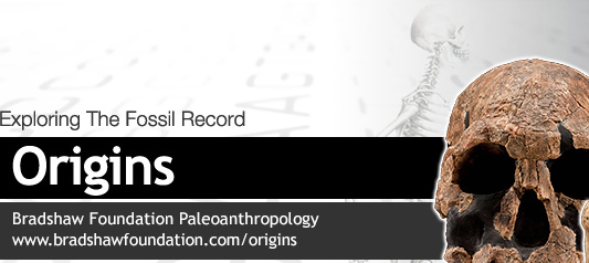 Origins Exploring the Fossil Record
