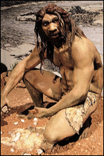 Homo heidelbergensis