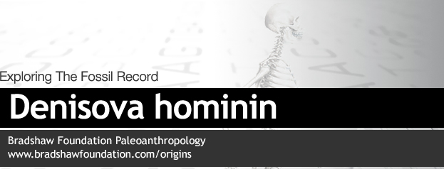Denisova hominin