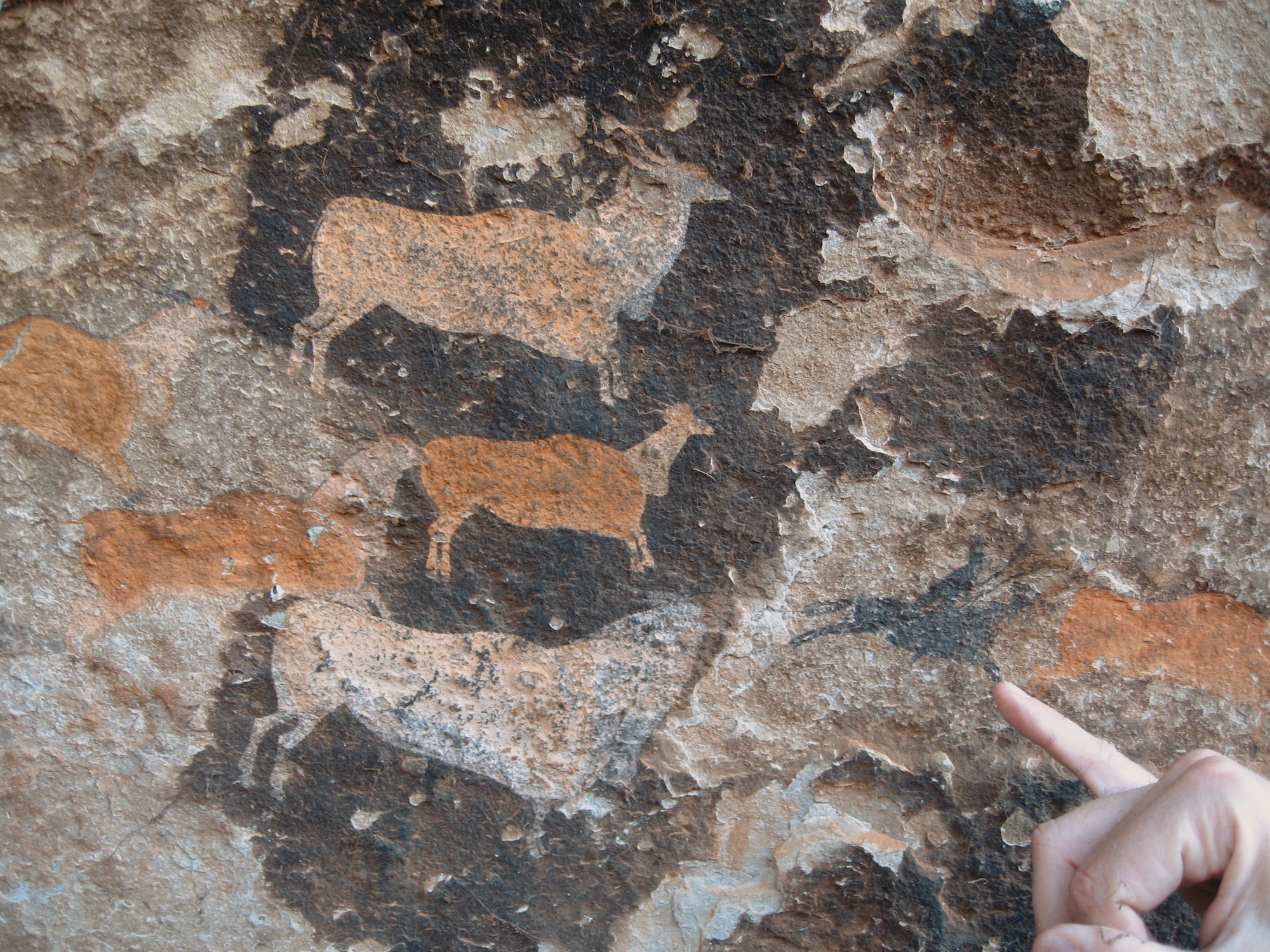 Examining San rock art<br>in South Africa