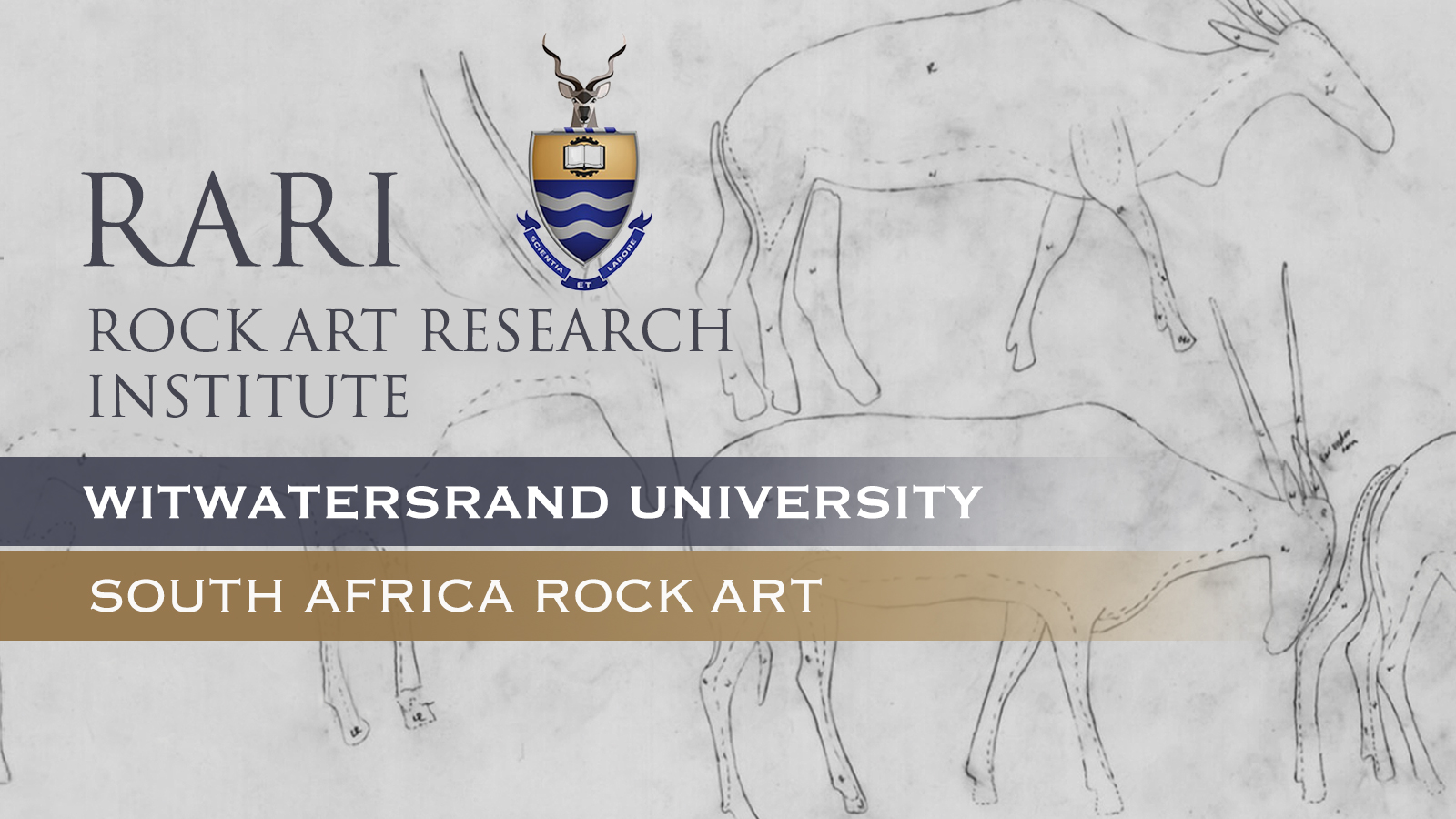 Bradshaw Foundation Rock Art Research Institute University of the Witwatersrand