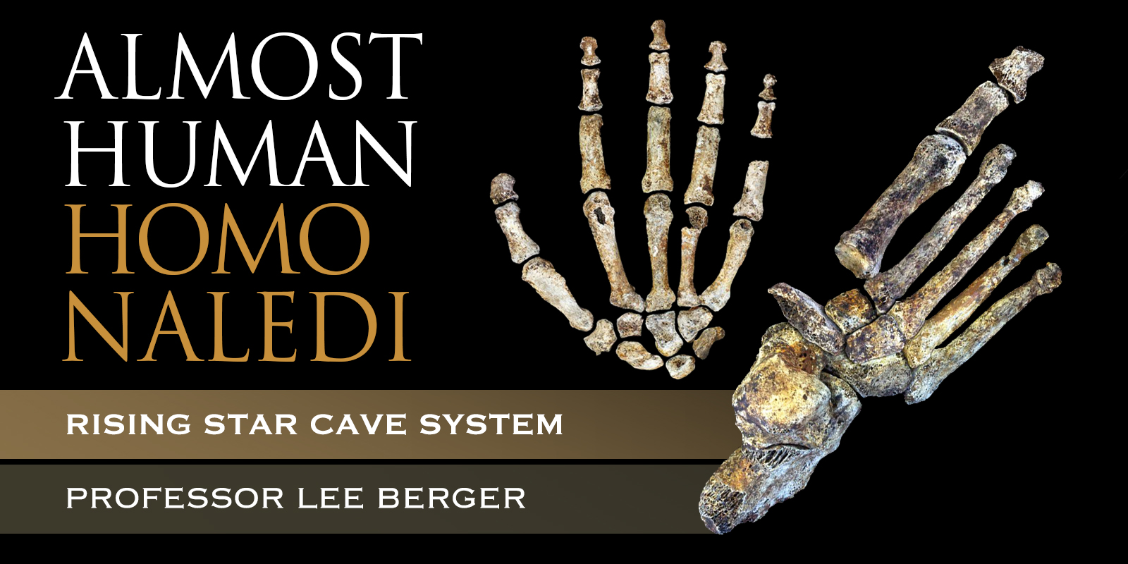 Homo naledi - Rising Star Cave