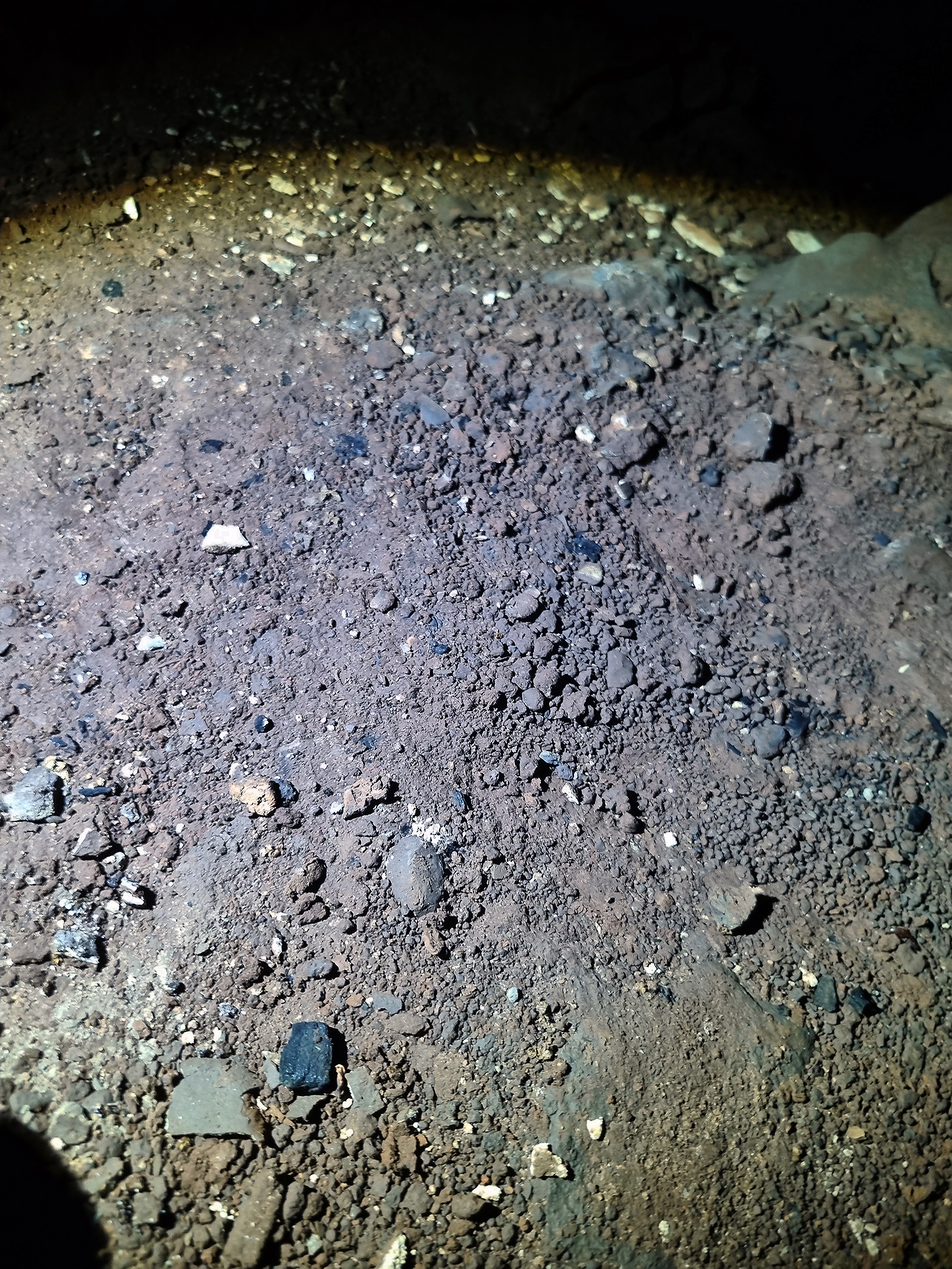 Charcoal Bone Rising Star Chamber Homo naledi 
