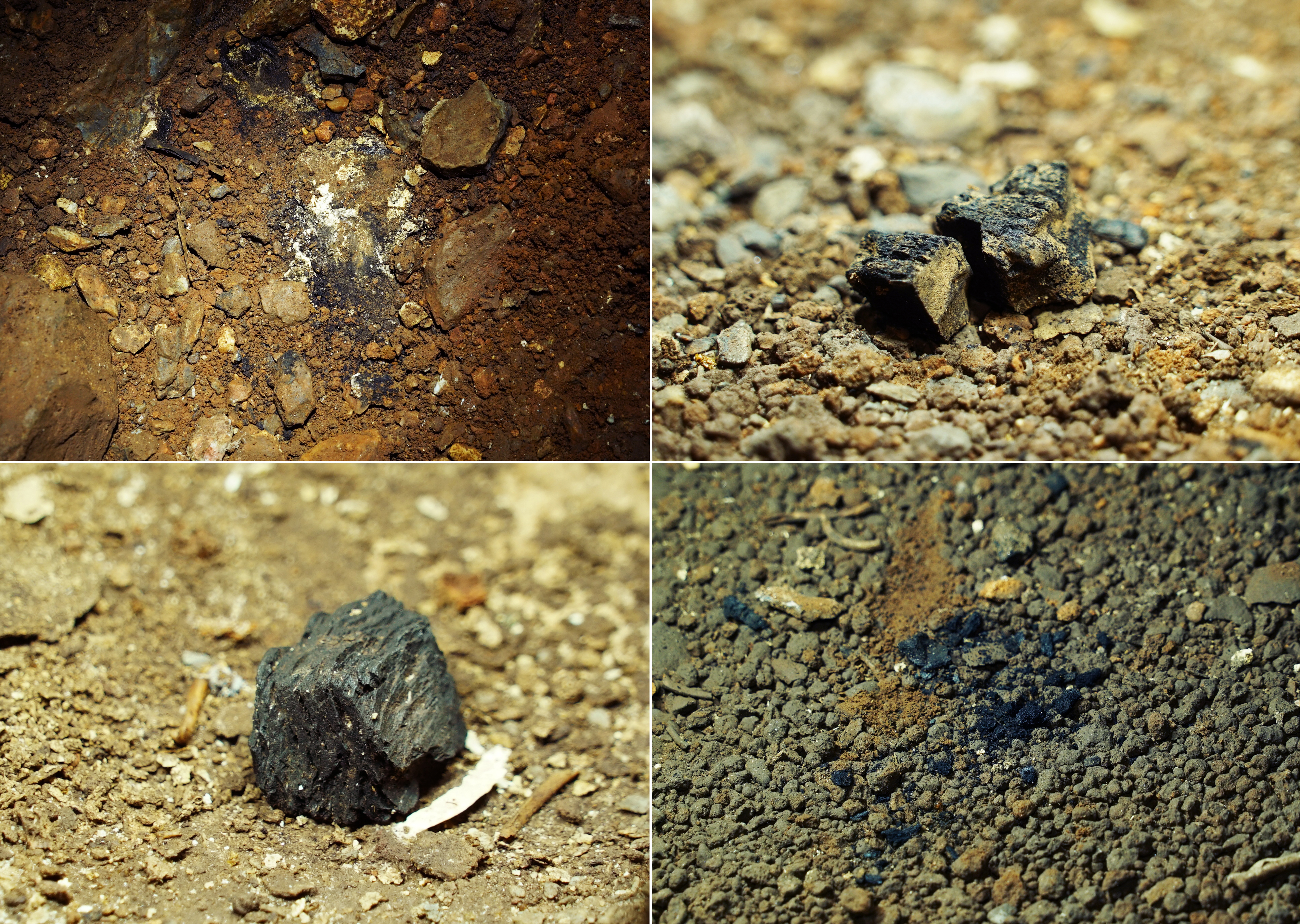 Charcoal in the Rising Star Chamber Homo naledi