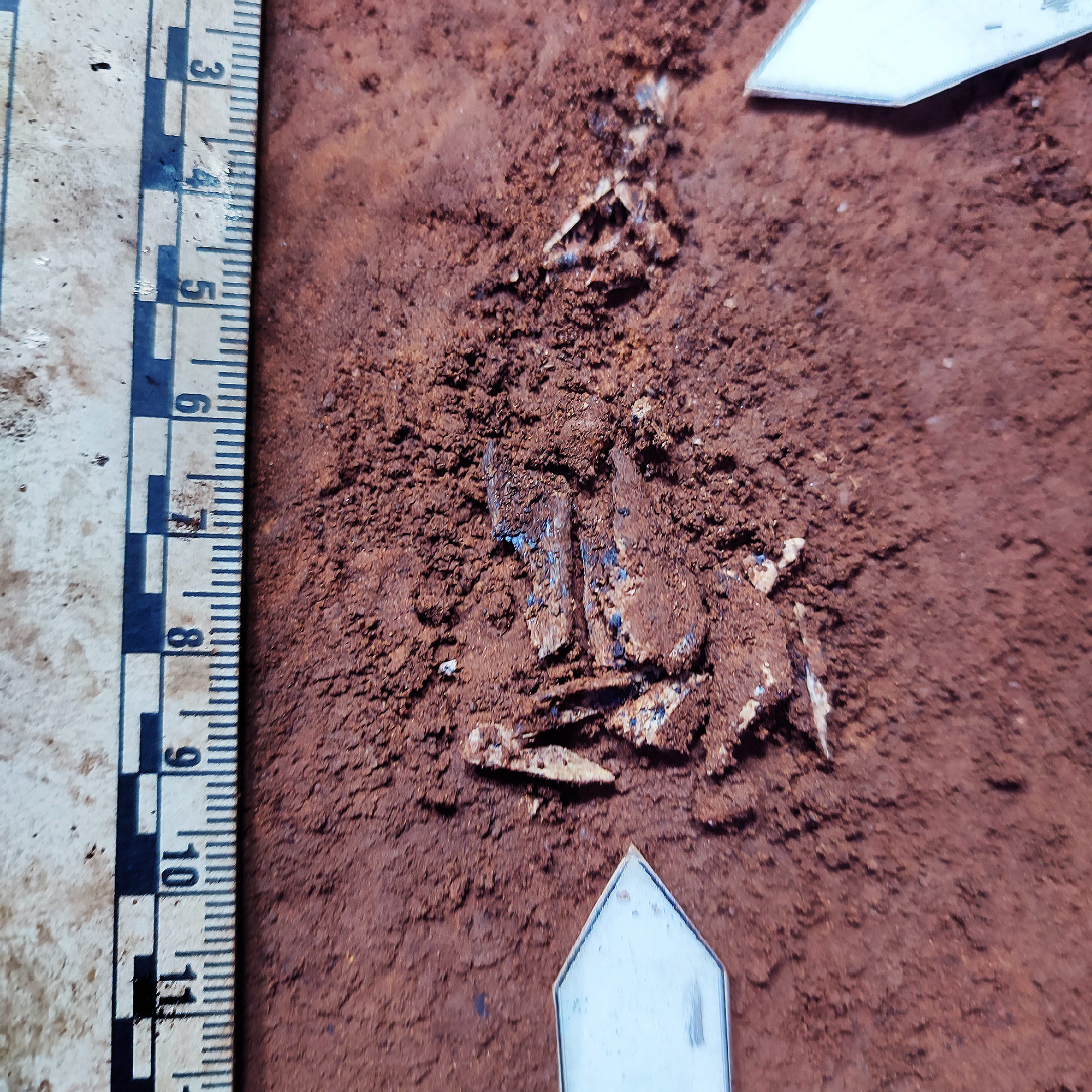 Burnt Bone Hearth Dragons Back Chamber Homo naledi Rising Star Cave System