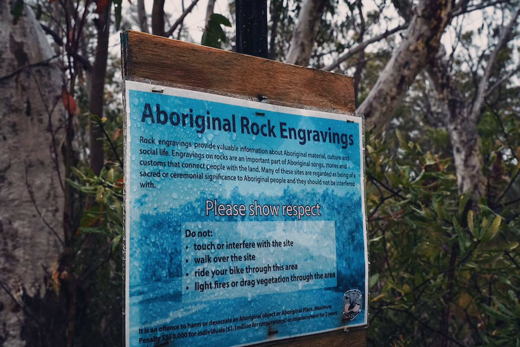 The NPWS has put signage in place at the Bulgandry Aboriginal art site
