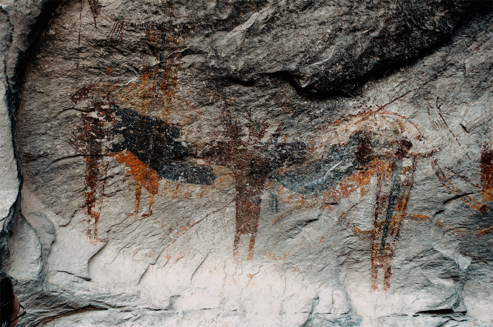 Painted rock art figures Fate Bell Shelter Seminole Canyon State Park Historic Site Texas USA United States America