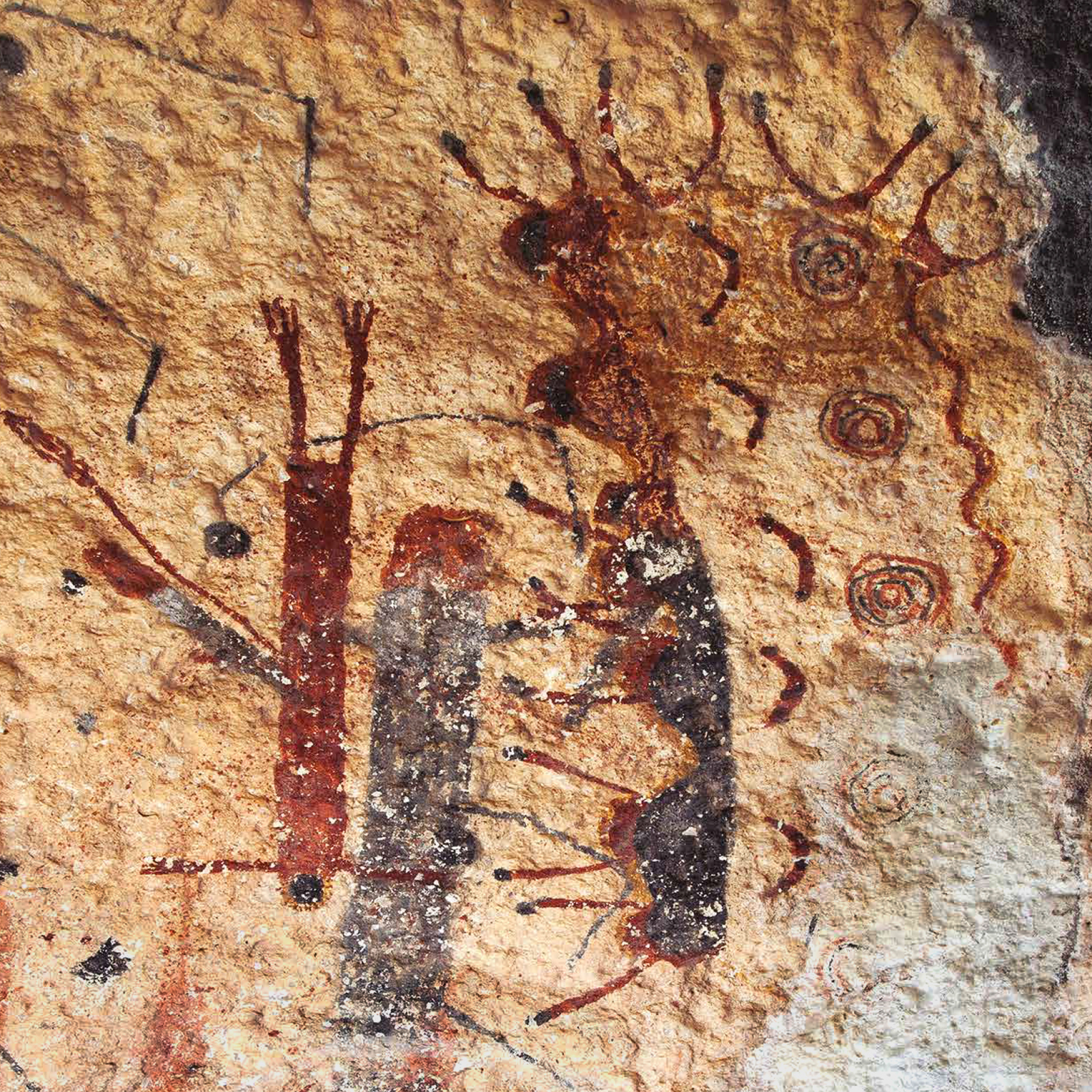 Sometimes artists painted upside down figures. In the story told through the White Shaman Mural, this black-masked anthropomorph is the Evening Star descending into the underworld at sunset