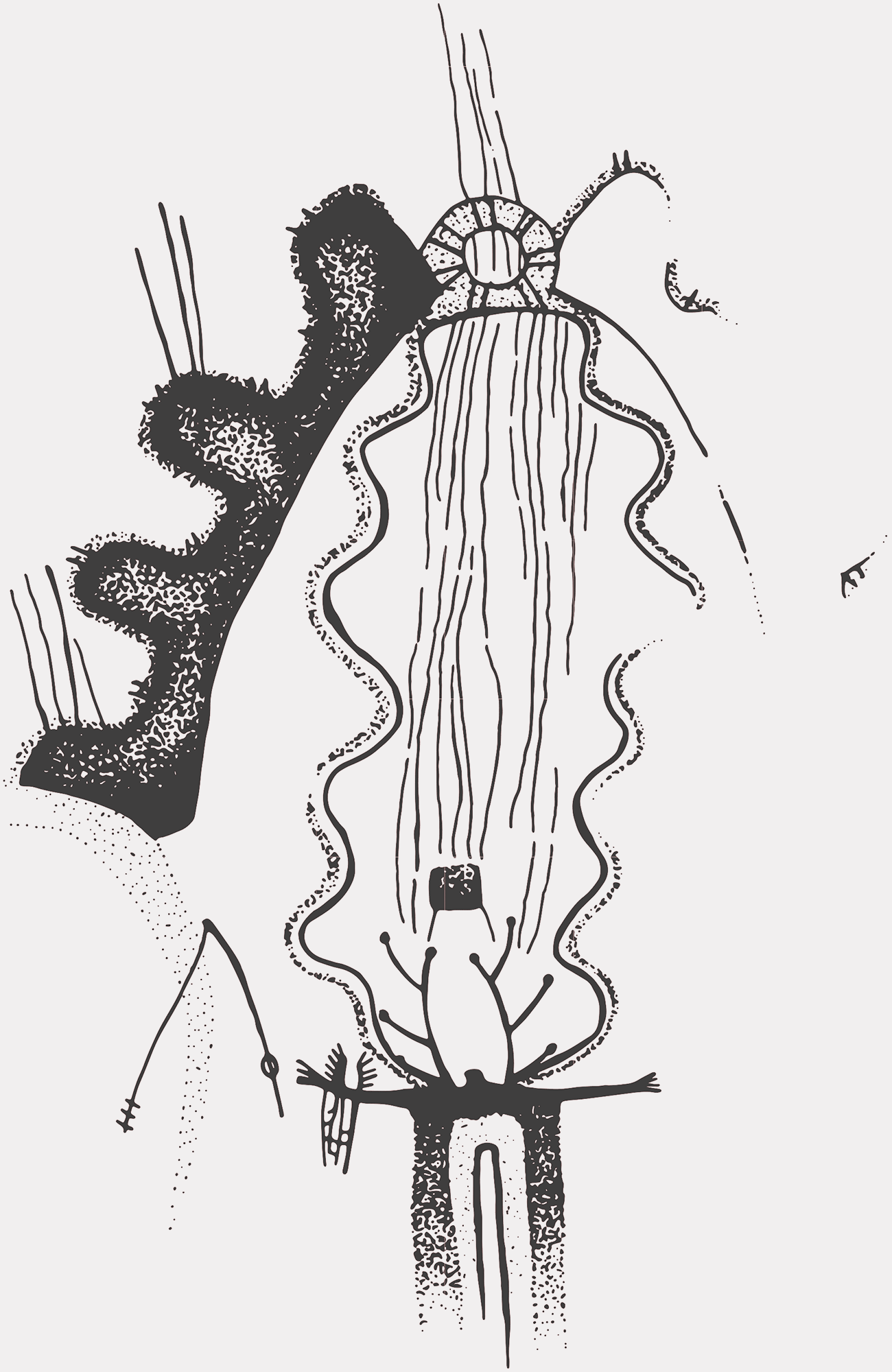 Serpentine arches with openings in the middle graphically represent the primordial birthplace. At Cedar Springs, the artist used color and line to show movement through the portal