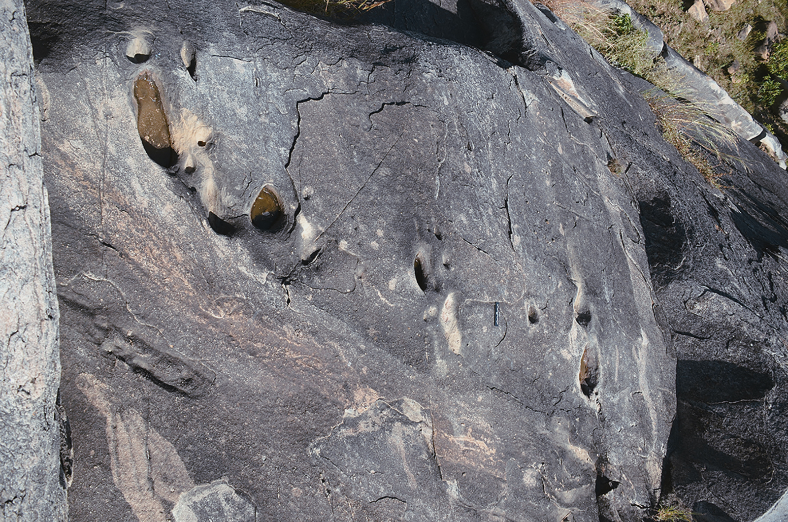 A single big flat sloping rock facing north east, approximately 8 by 9 feet, has 36 vulvas in various sizes