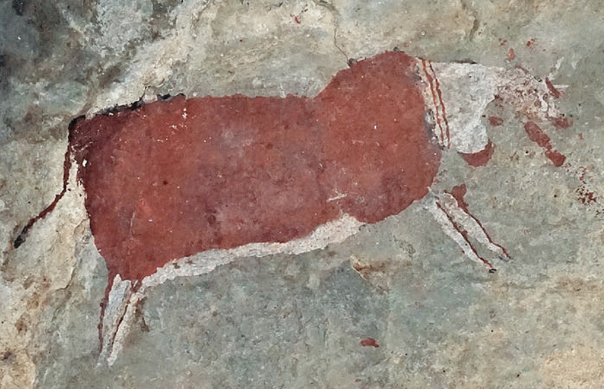 Painting from the southern Maloti-Drakensberg rock-shelter: An eland depicted in poster-like block colour, likely painted post-contact