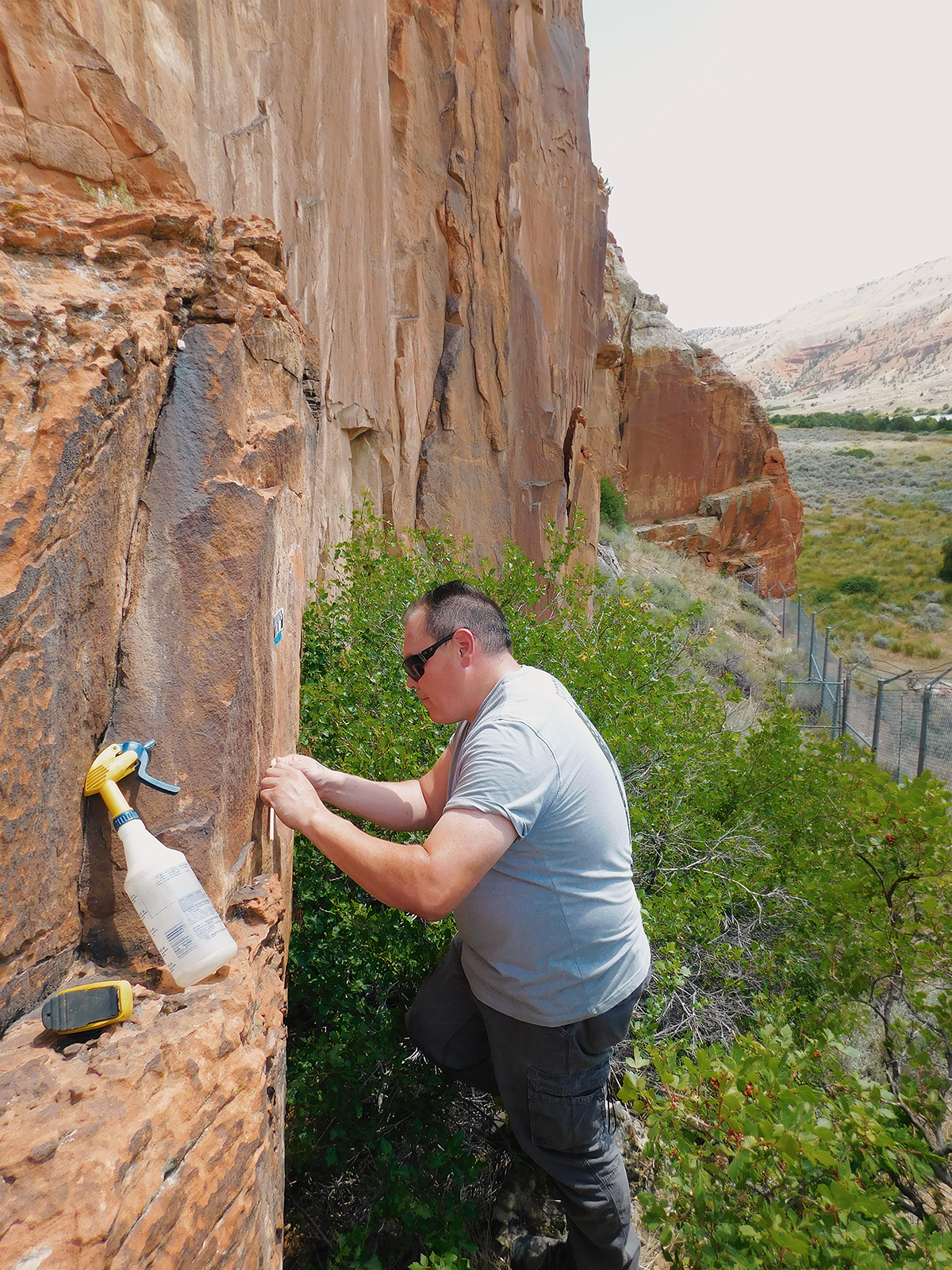 Rock Art removing incised graffiti with rolling poultice