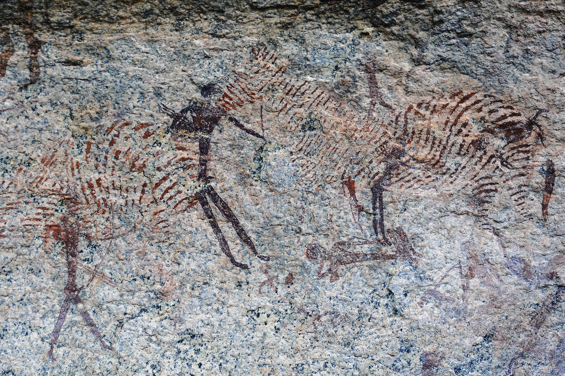 Zebra Rock Art Markwe Cave Zimbabwe Africa Archaeology