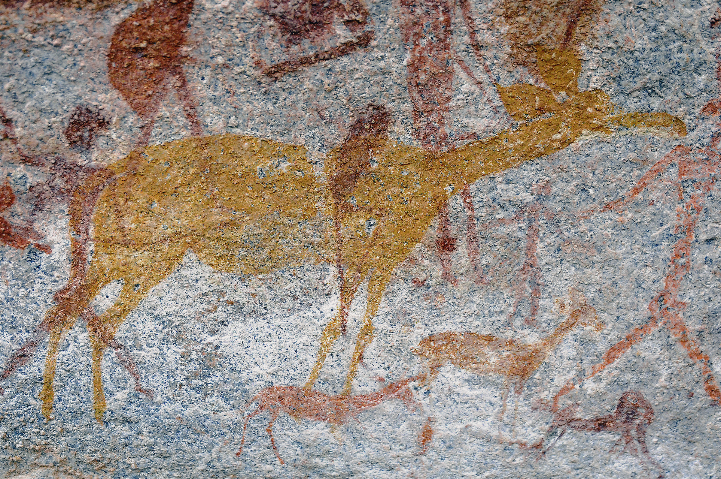 Kudu Rock Art Markwe Cave Zimbabwe Africa Archaeology