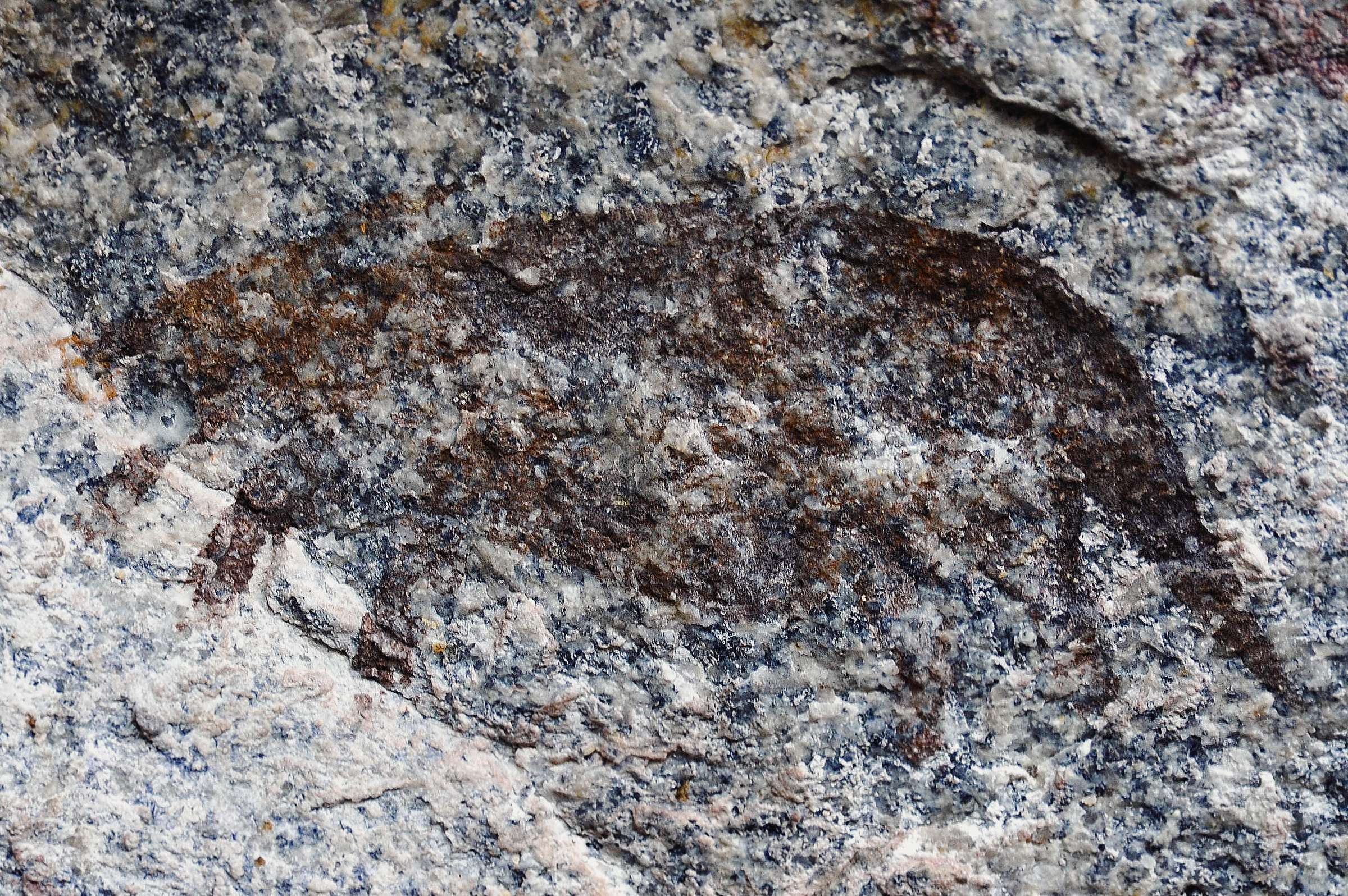 Antbear Rock Art Markwe Cave Zimbabwe Africa Archaeology