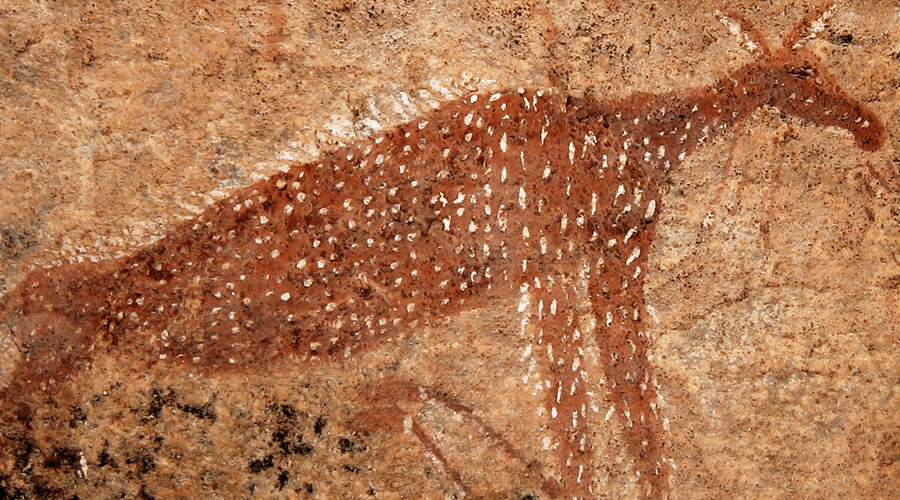 Rock Art Network SARAP - Southern African Rock Art Project