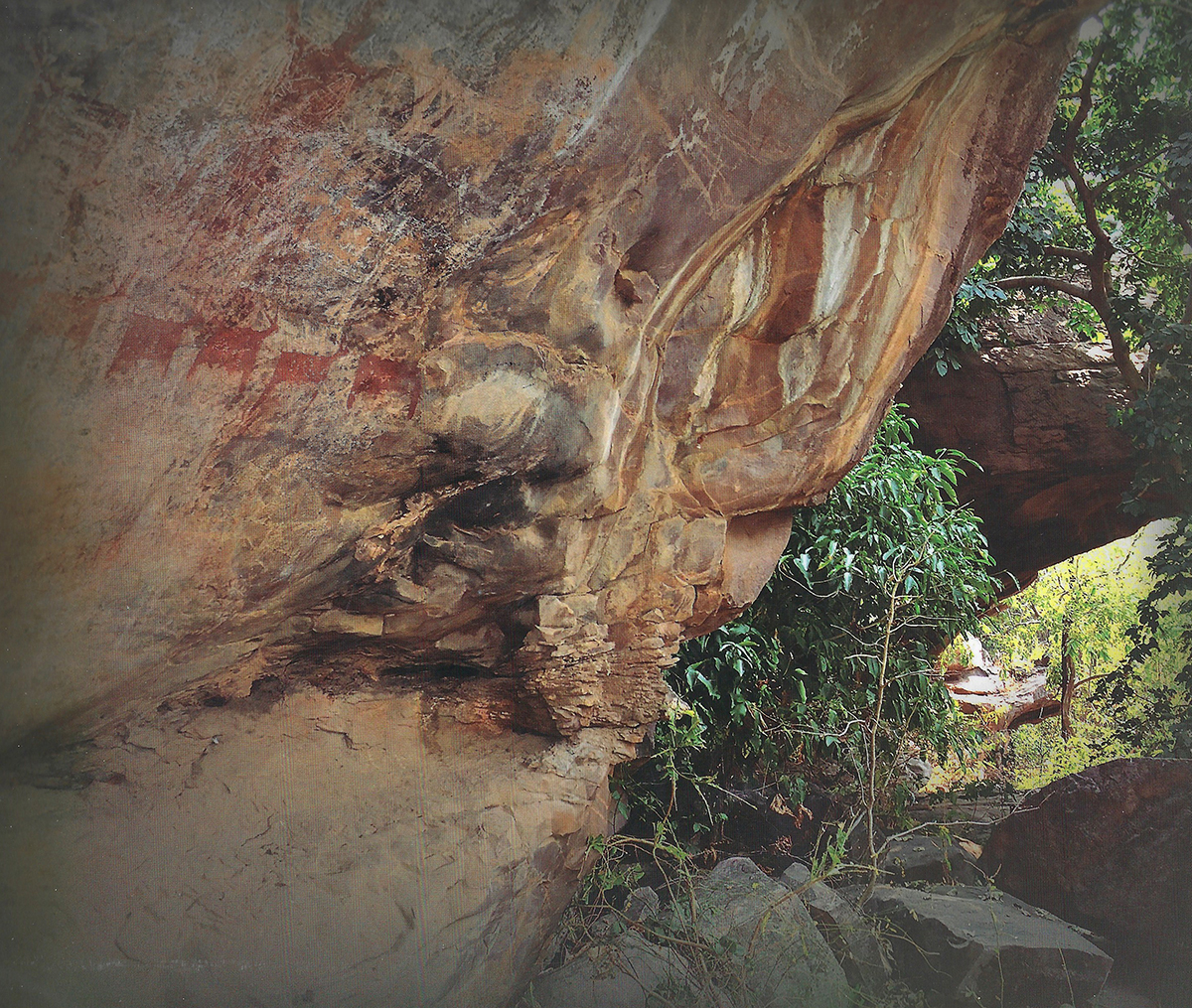 New publication Rock Art and Tribal Art: Madhya Pradesh by Meenakshi Dubey-Pathak & Jean Clottes