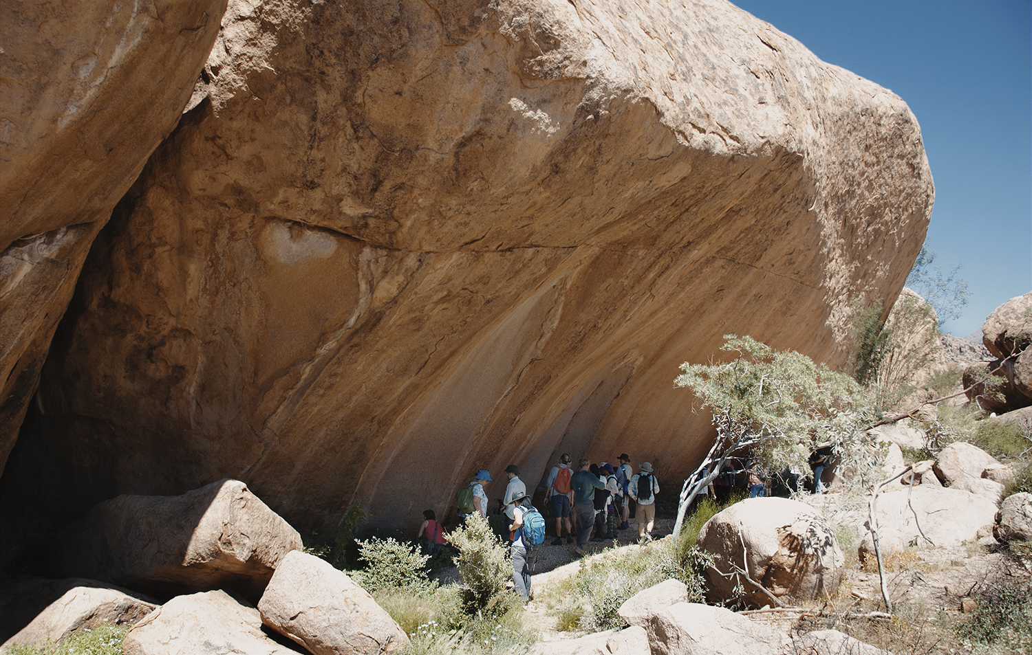 Rock Art Network Getty Conservation Institute Bradshaw Foundation Namibia Africa