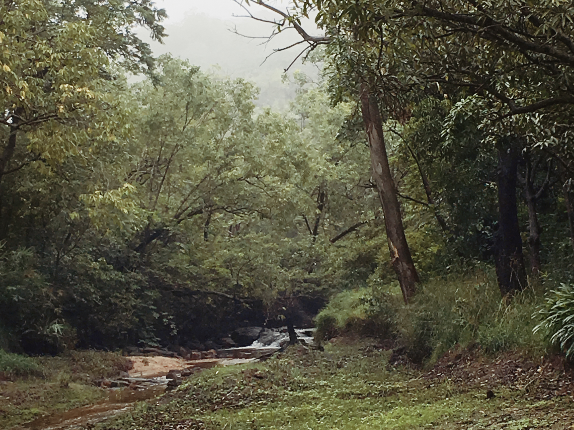 7.Pachmarhi Forest Rock Art Sites Protection and Guides Training In Satpura Tiger Reserve