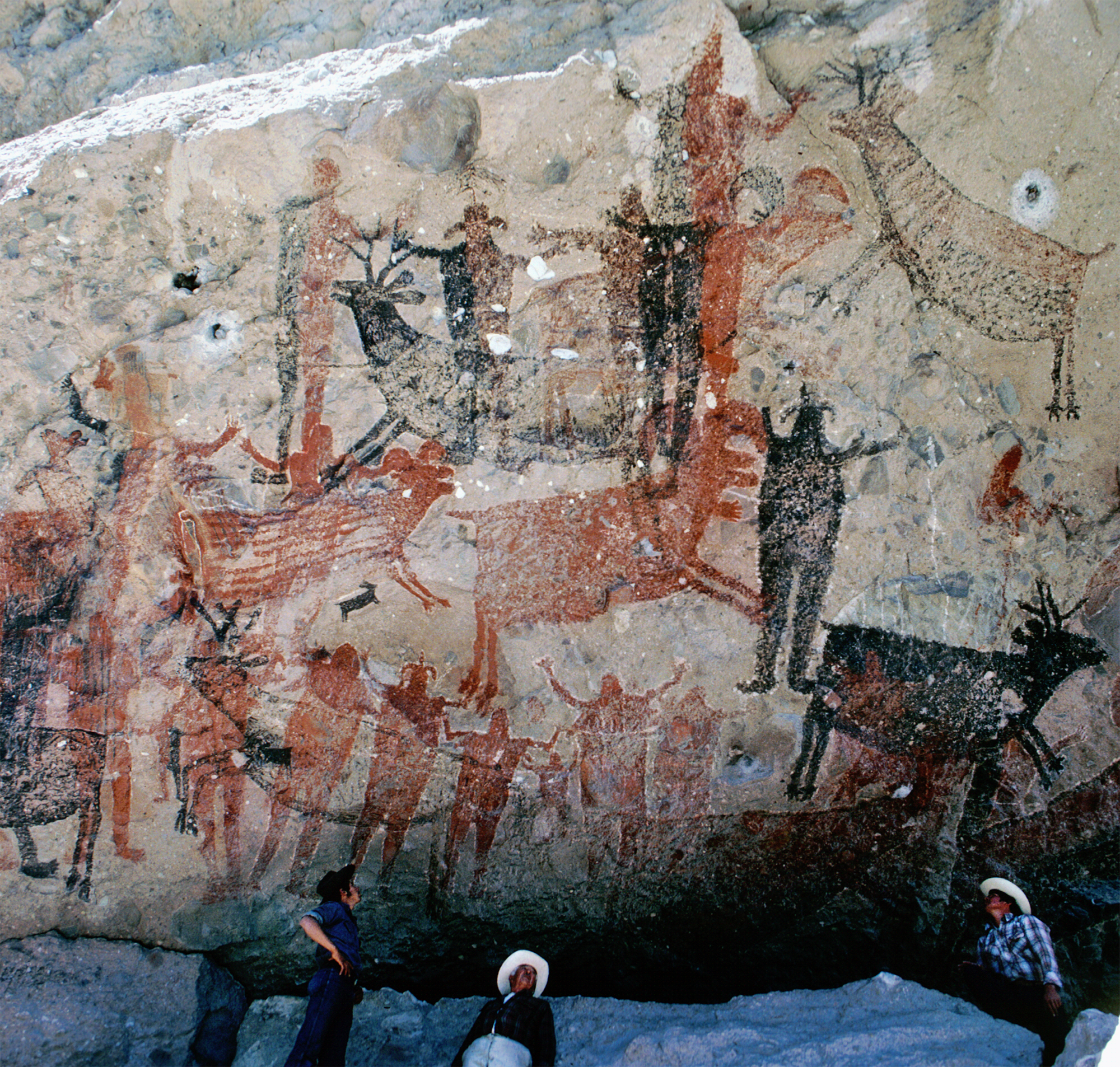 Rock Art Paintings Sierra de San Francisco Mexico