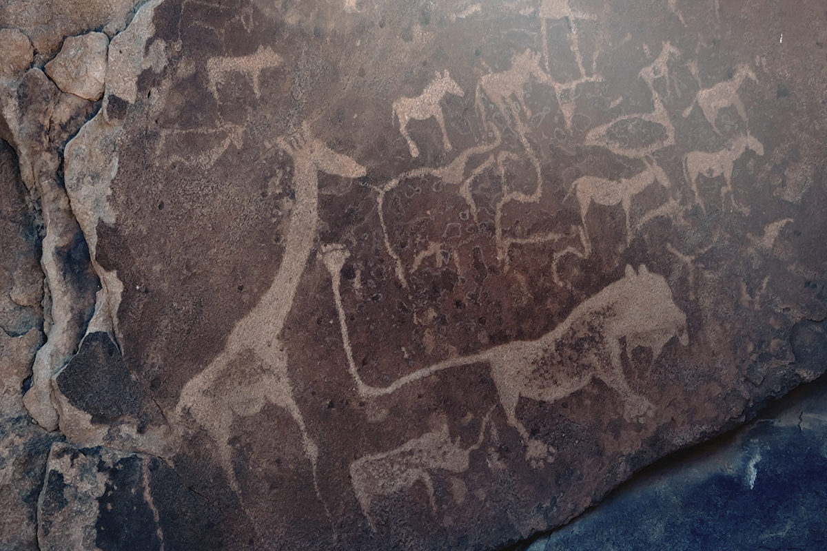 Rock Art Twyfelfontein Namibia Africa