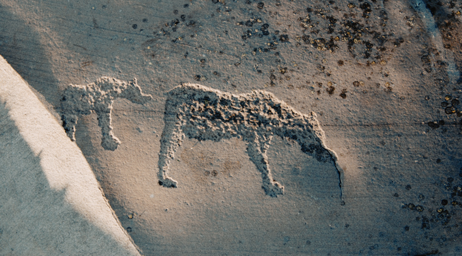 Rock art of Alta Norway Rock Art Network Cave Paintings UNESCO World Heritage List Bradshaw Foundation Getty Conservation Institute