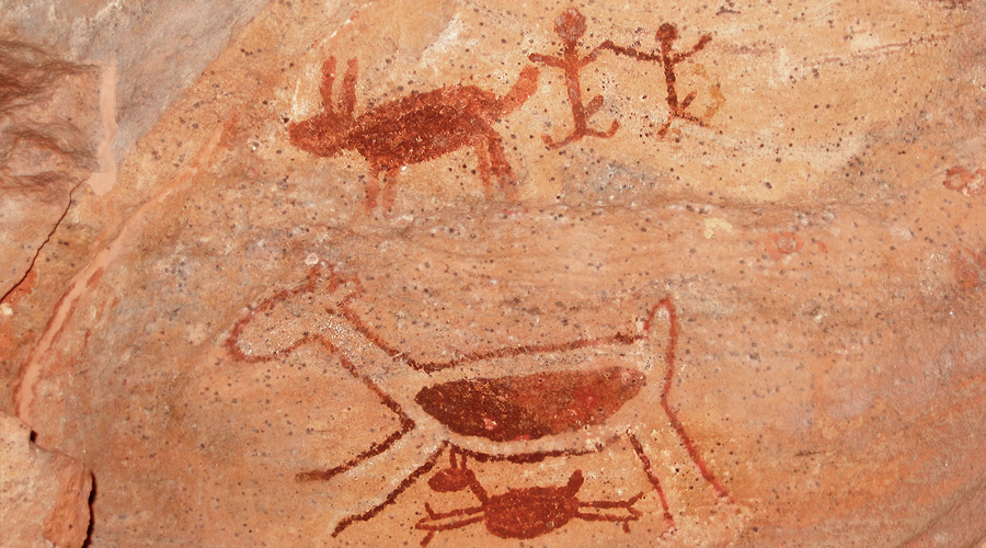 Serra da Capivara National Park Brazil Rock Art Network Cave Paintings UNESCO World Heritage List Bradshaw Foundation Getty Conservation Institute