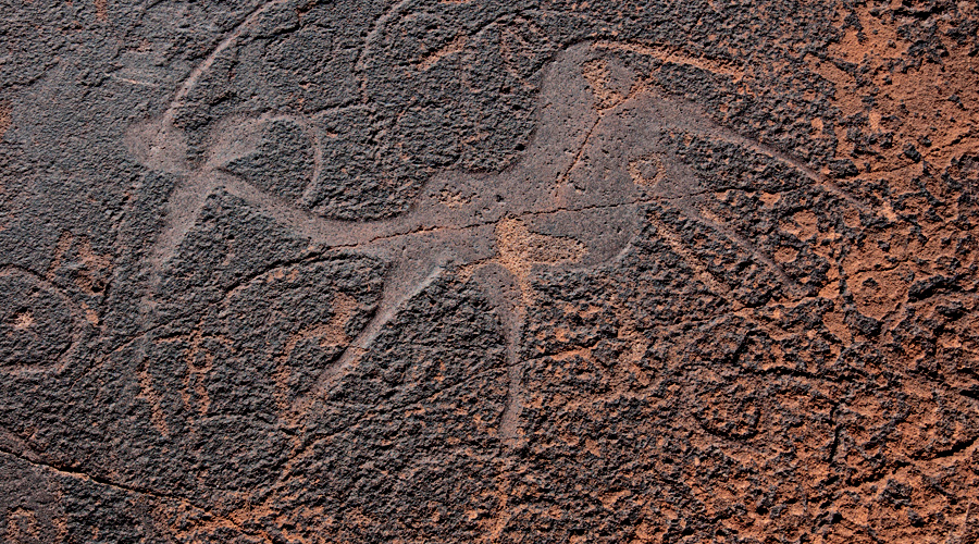 Twyfelfontein Namibia Africa Rock Art Network Cave Paintings UNESCO World Heritage List Bradshaw Foundation Getty Conservation Institute