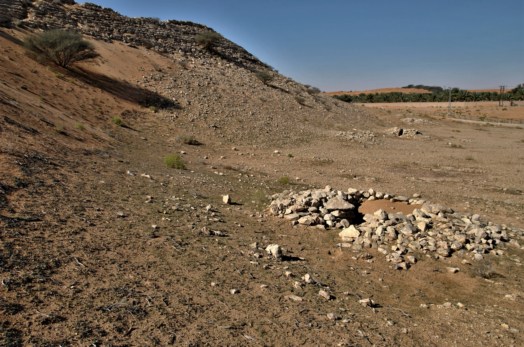 Seven of least 23 burial cairns that occupy the western hinterlands of Qarn bint Sa’ud