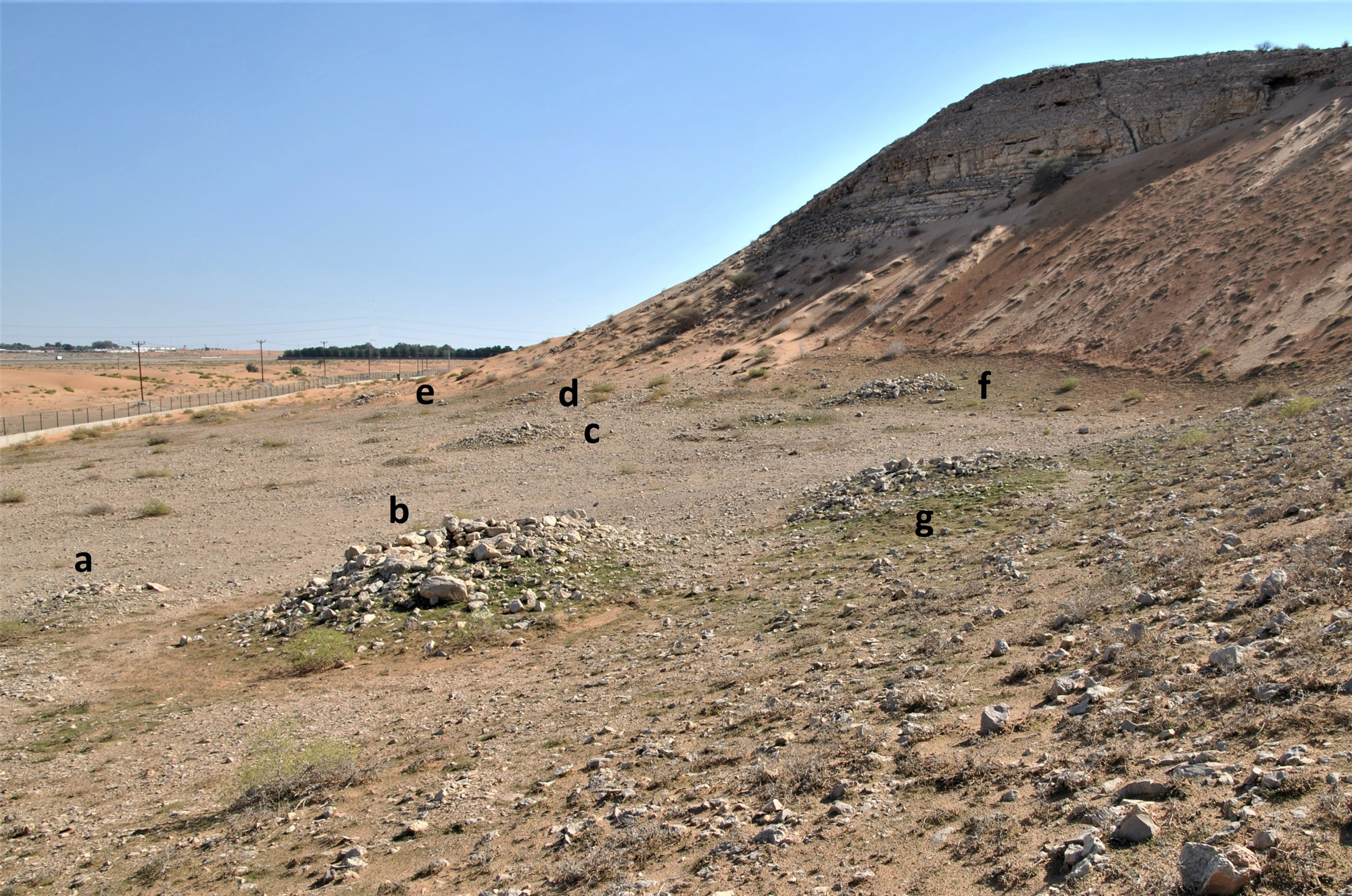 Seven of least 23 burial cairns that occupy the western hinterlands of Qarn bint Sa’ud