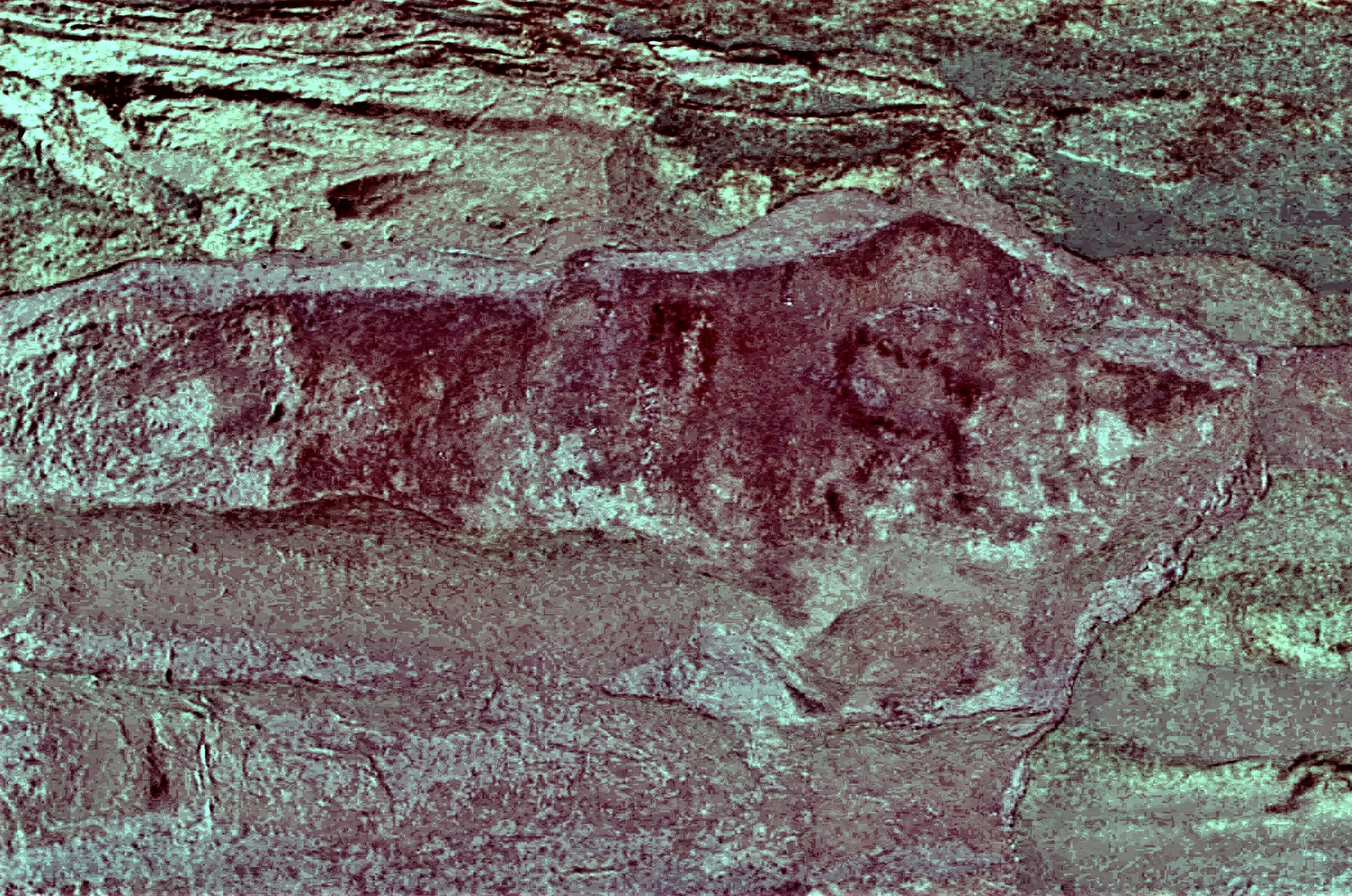 Exposed on a vertical panel, using the desk-based algorithm D-Stretch are at least three phases of imagery that include bovines, cervids and historic wassim marks