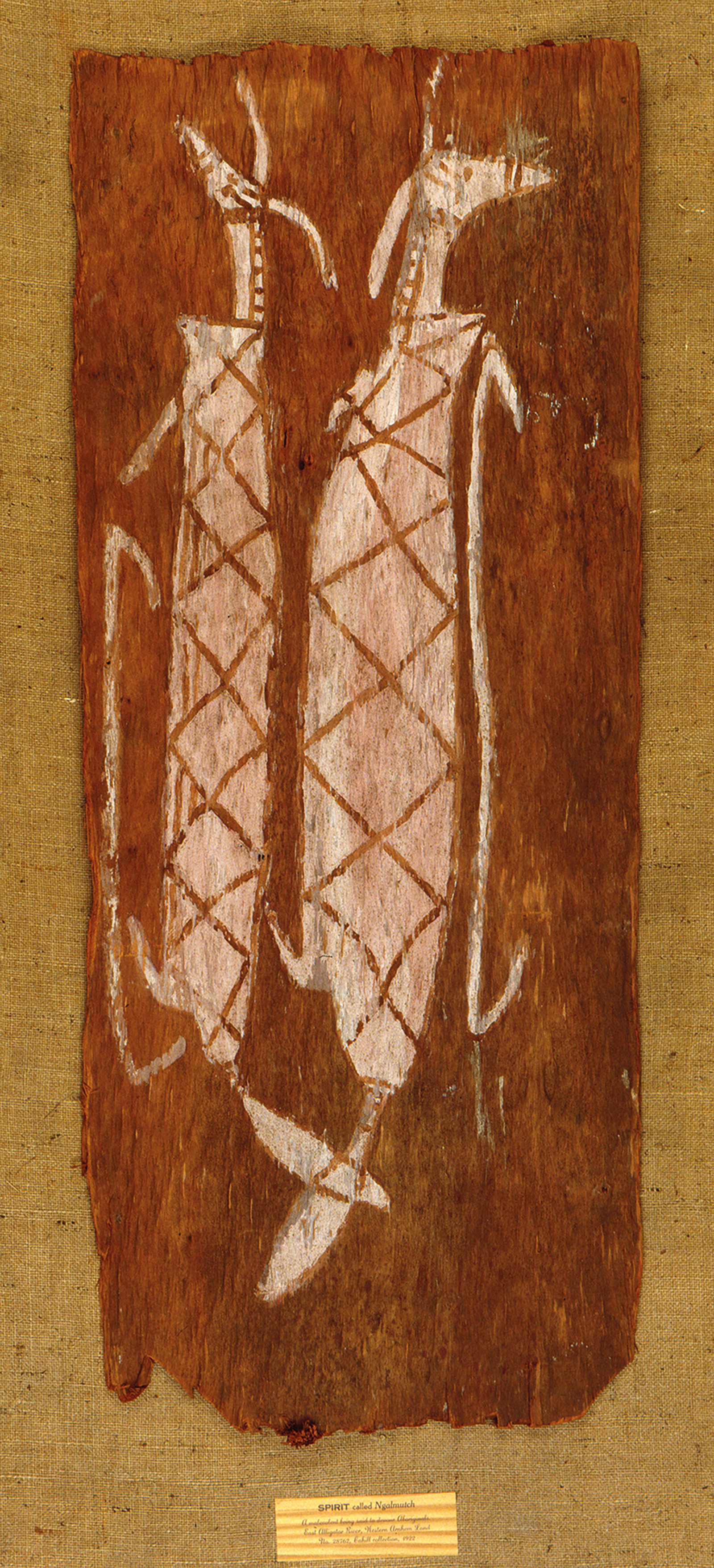 Paddy Cahill bark painting of back-to-back Rainbow Serpents, collected in 1922