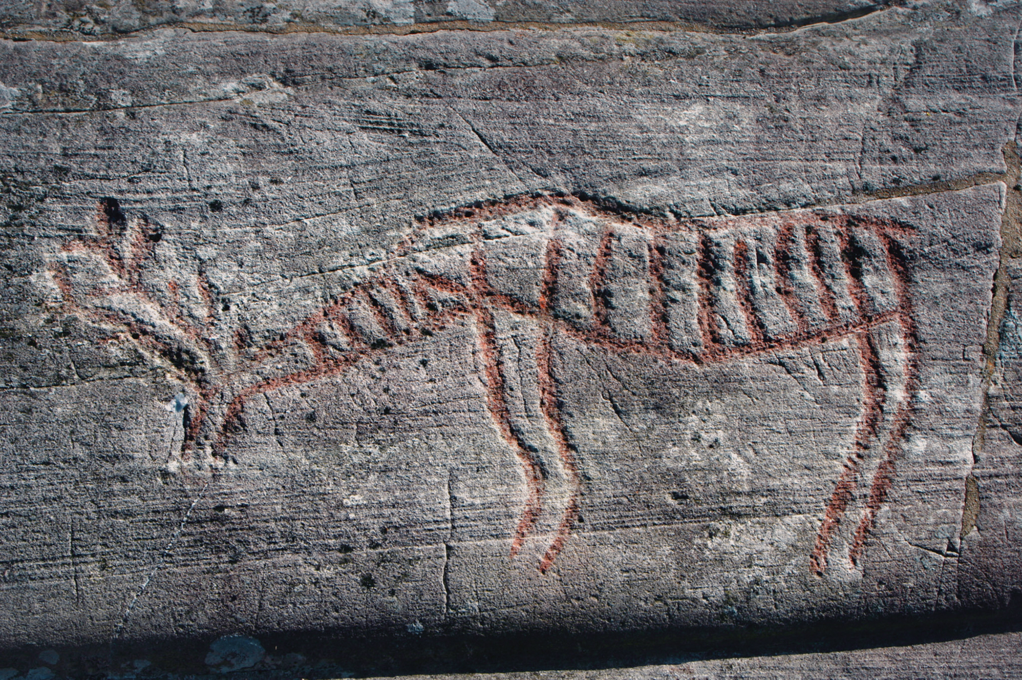 Vingen Rock Art Petroglyphs Norway