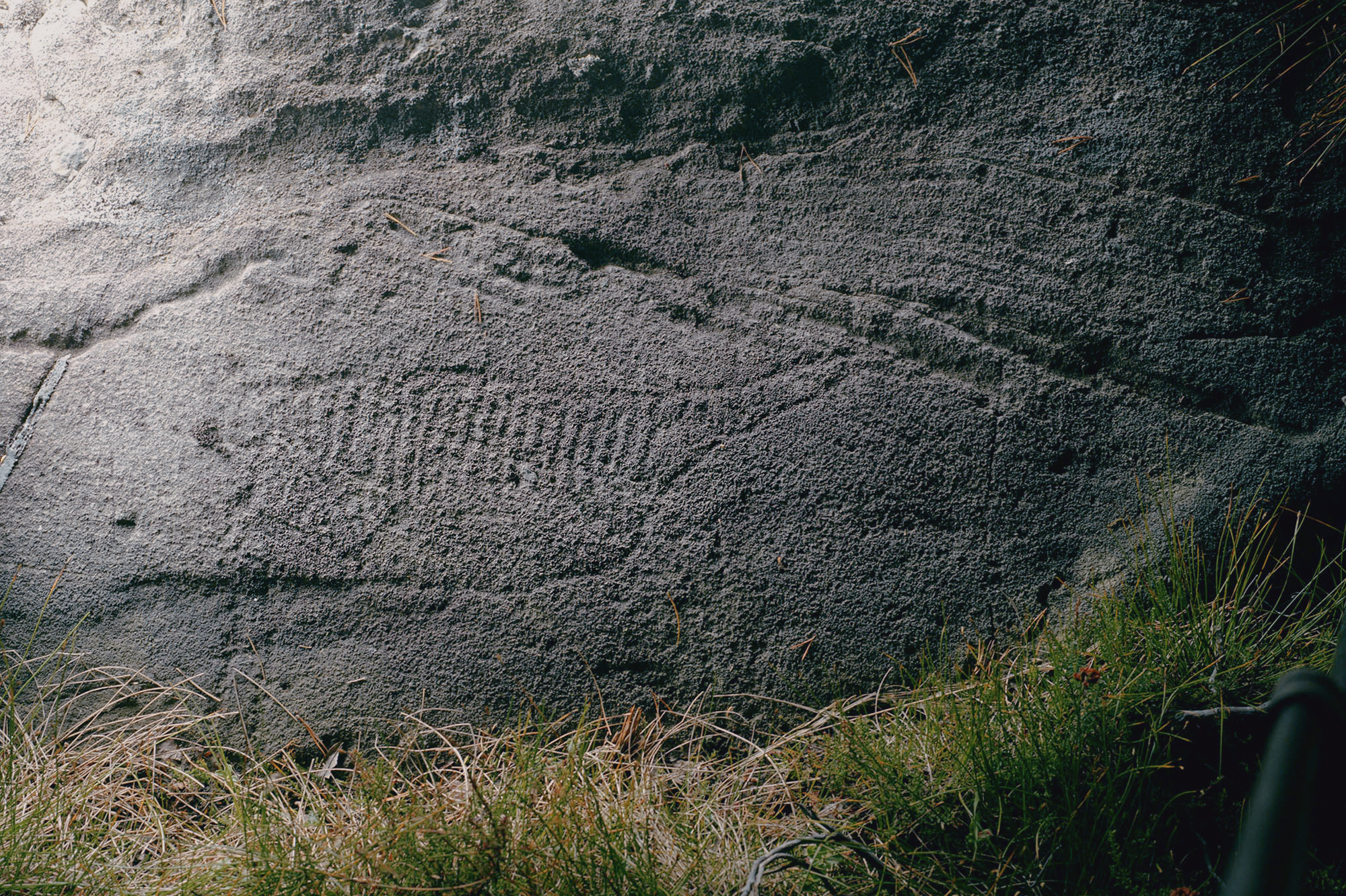Vingen Rock Art Petroglyphs Norway