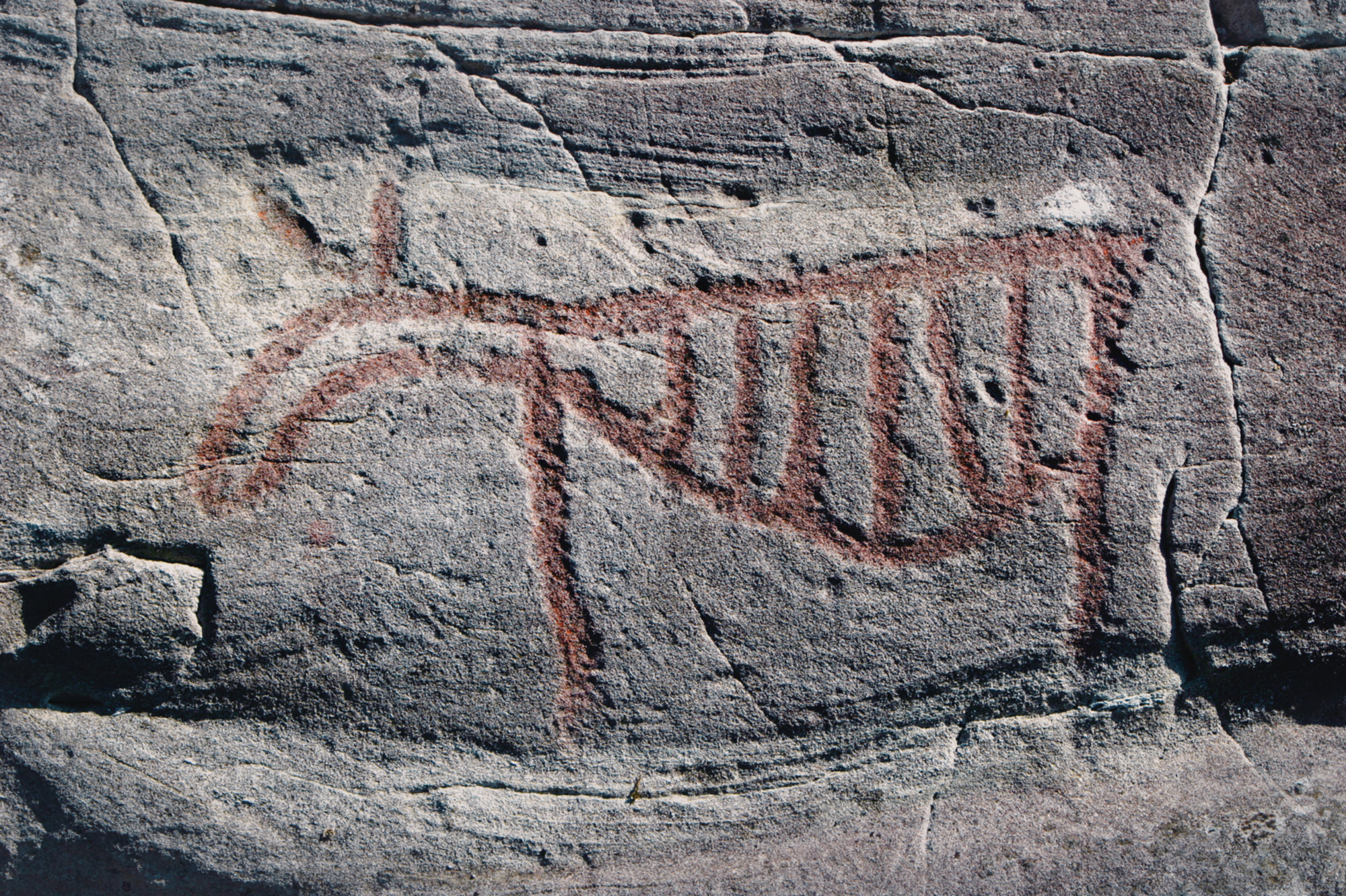 Vingen Rock Art Petroglyphs Norway