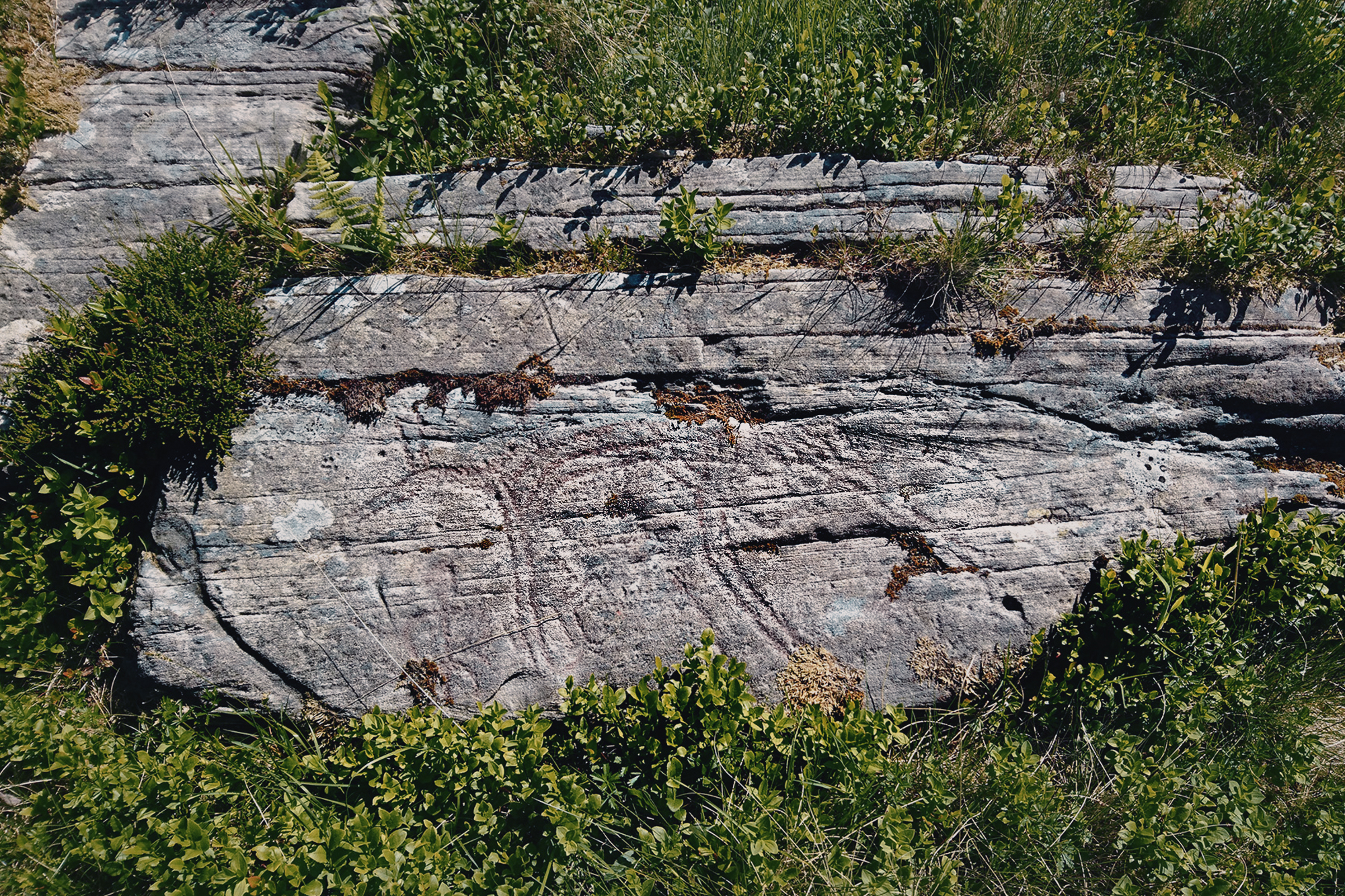 Vingen Rock Art Petroglyphs Norway