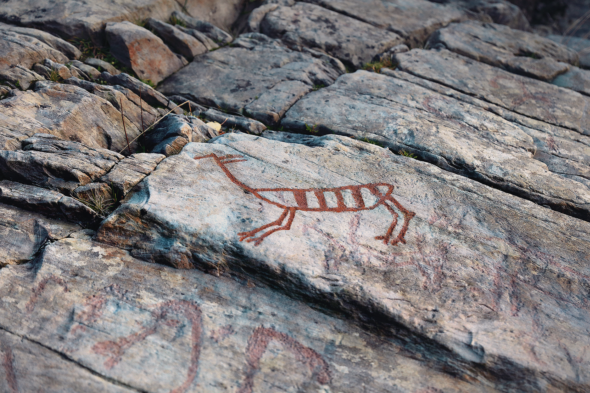 Vingen Rock Art Petroglyphs Norway