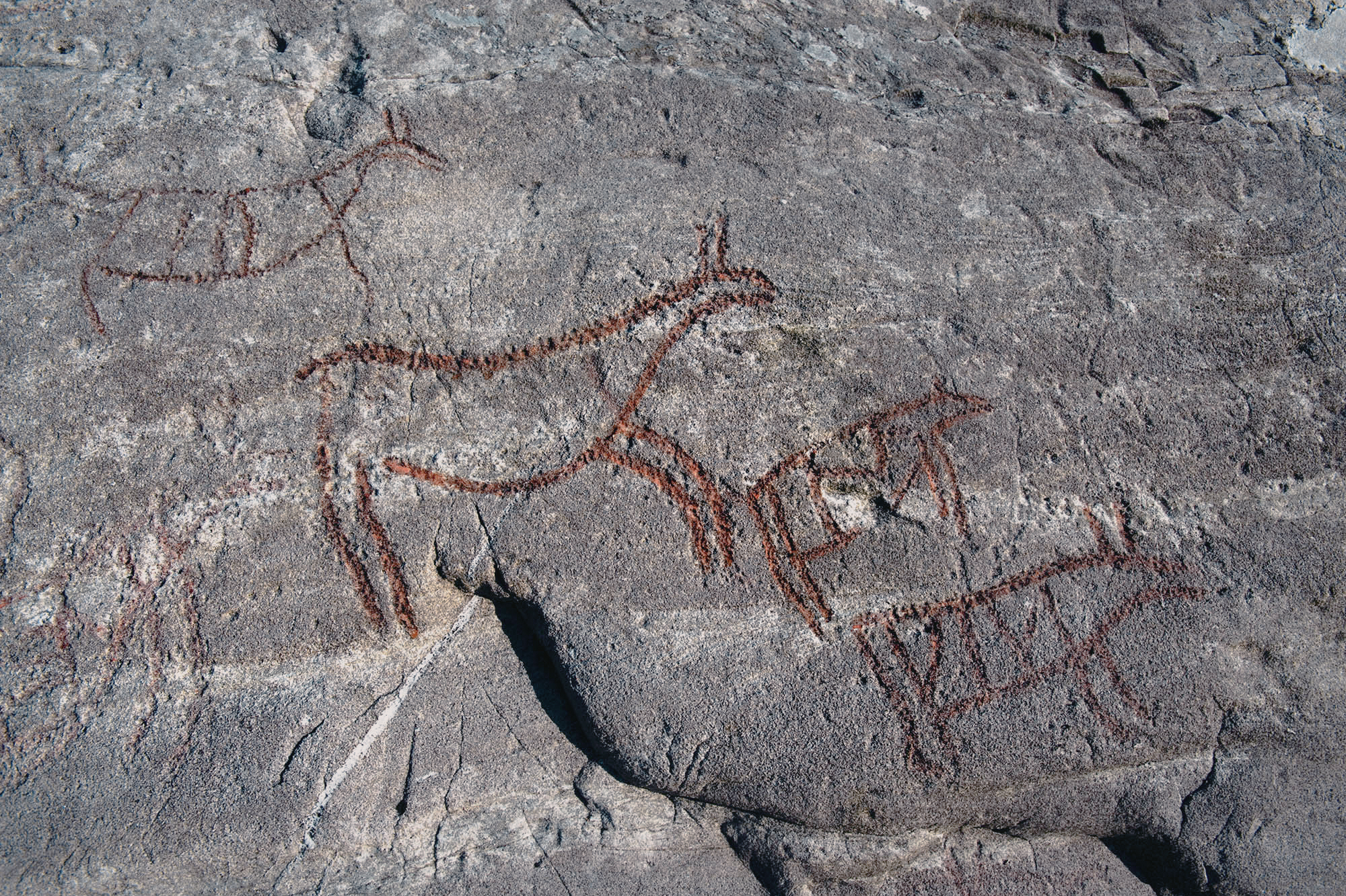 Vingen Rock Art Petroglyphs Norway