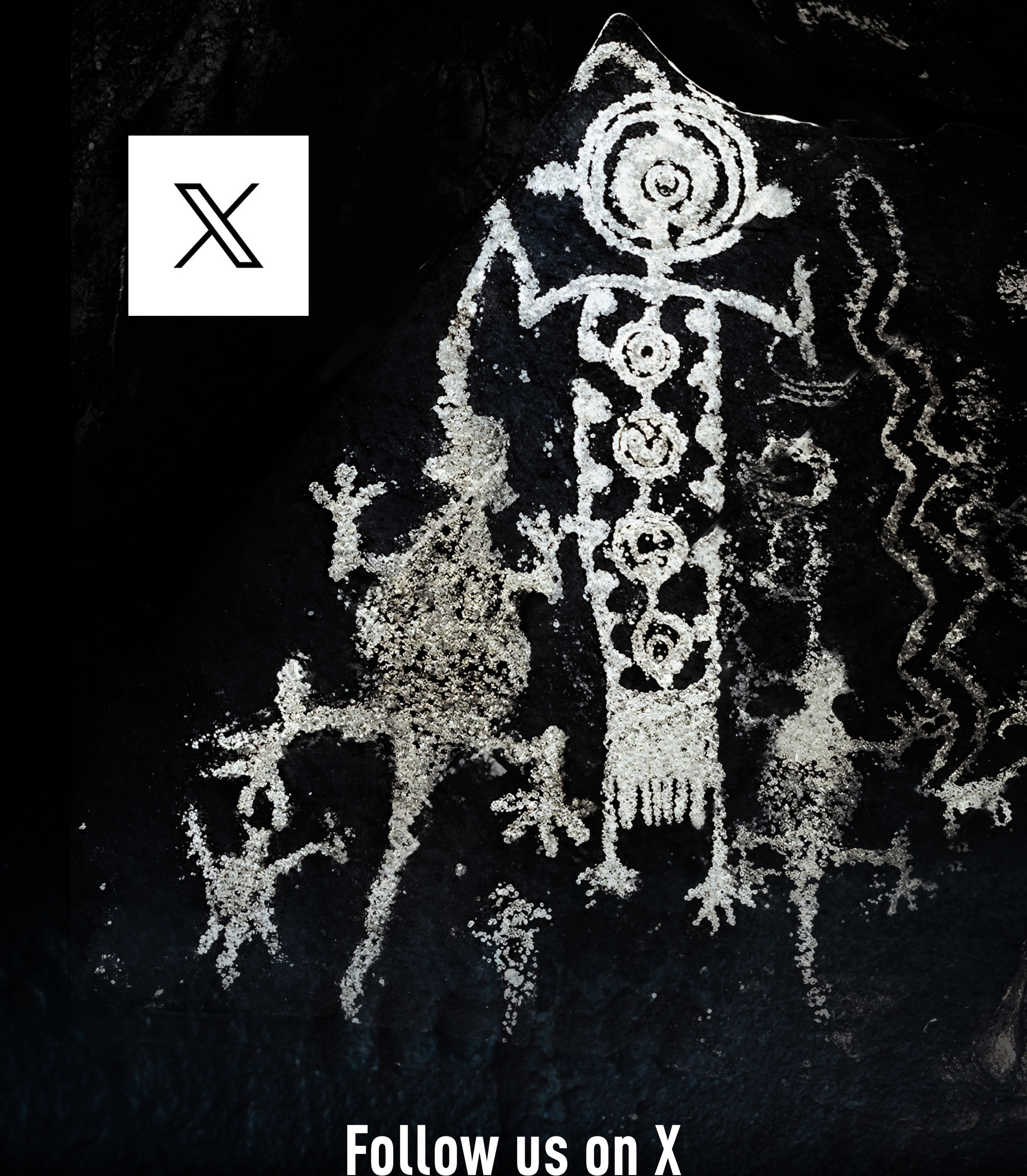 Bradshaw Foundation X Twitter BradshawFND