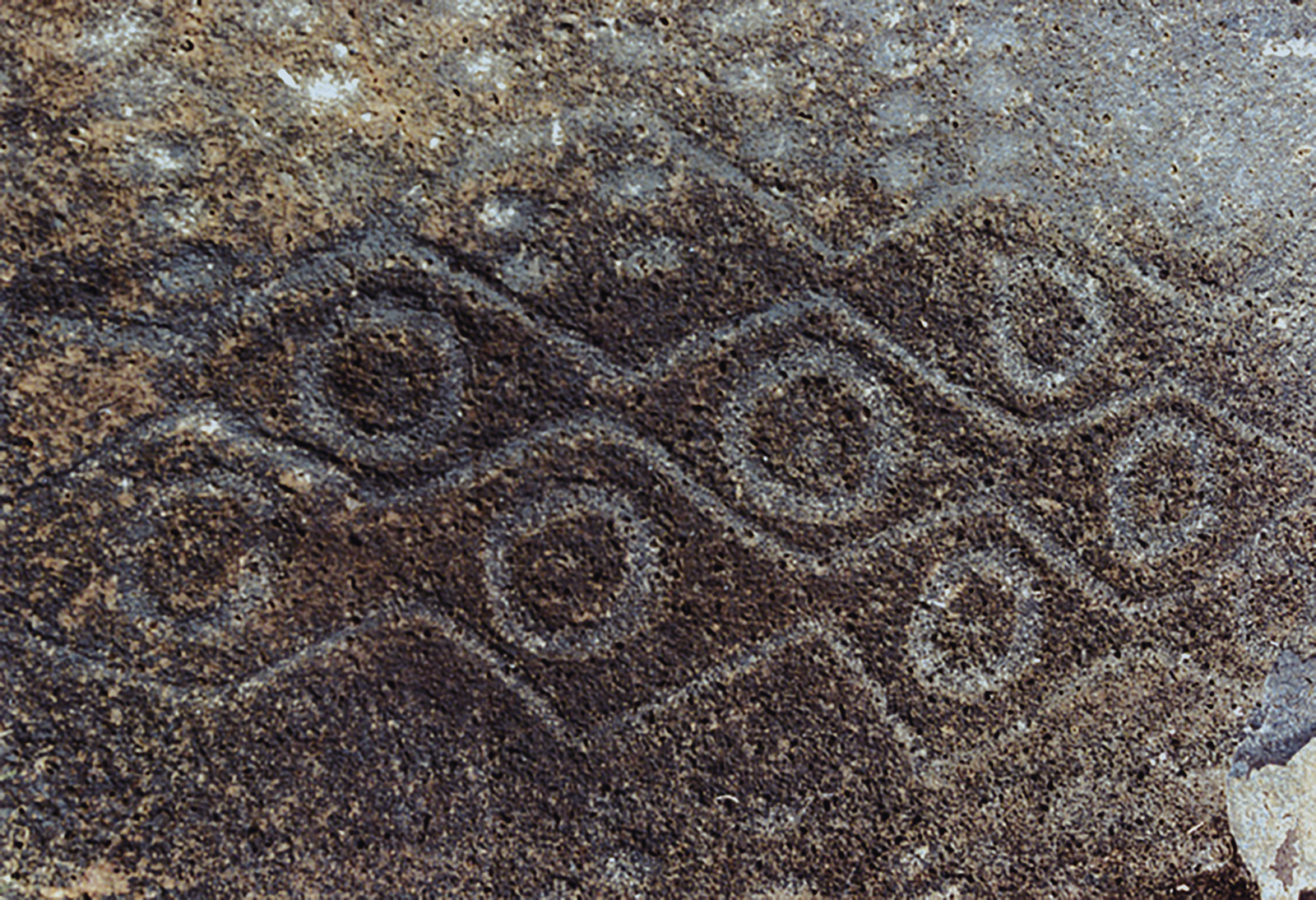 Rock Art Petroglyphs Arvoredo Island Santa Catarina Brazil Archaeology