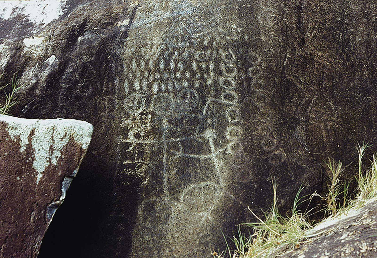 Rock Art Petroglyphs Arvoredo Island Santa Catarina Brazil Archaeology