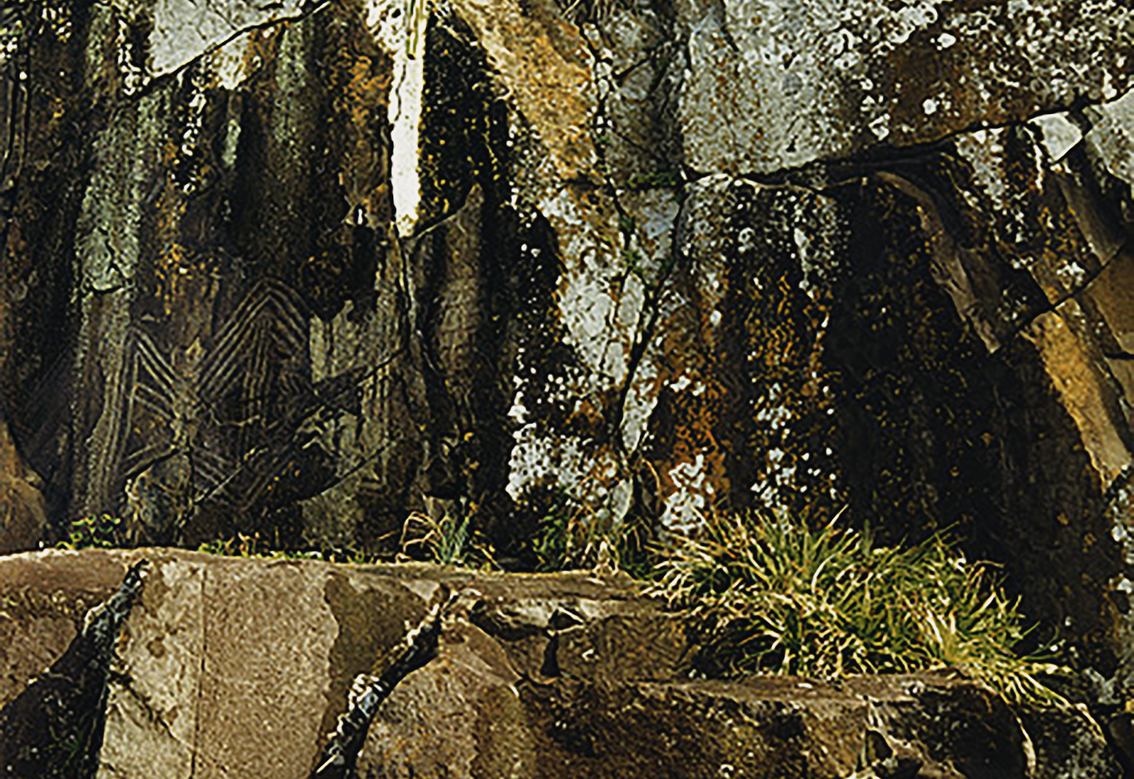 Rock Art Petroglyphs Campeche Island Santa Catarina Brazil Archaeology