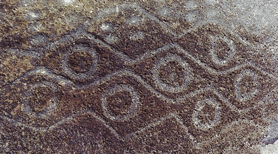 Arvoredo Island Rock Art Petroglyphs Petroglyph Santa Catarina Carvings Archaeology Brazil Bradshaw Foundation