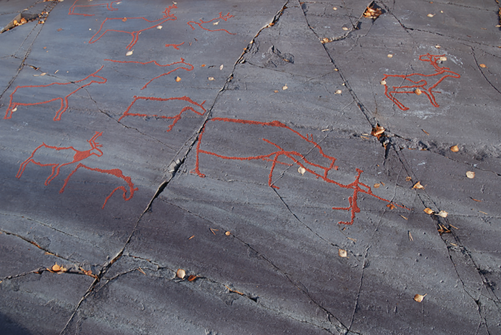 Bear hunting in northern lights, Ole Pedersen Rock Art Alta Norway UNESCO World Heritage Museum