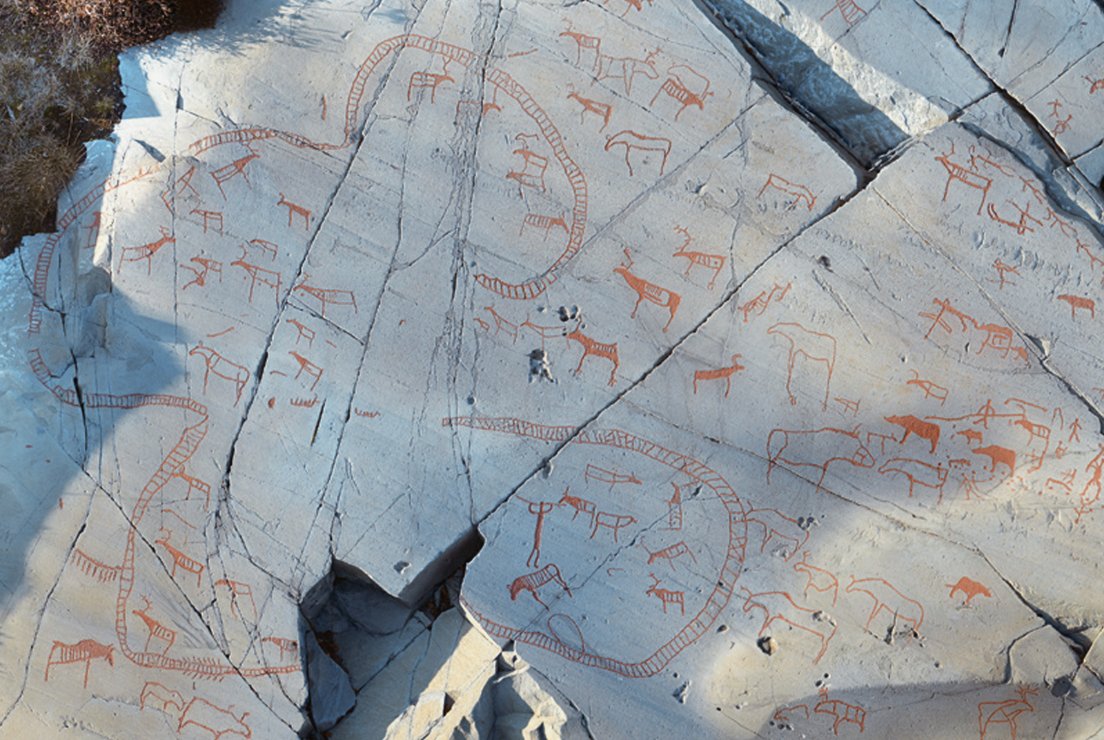 Hunting fence at Bergbukten Rock Art Alta Norway UNESCO World Heritage Museum