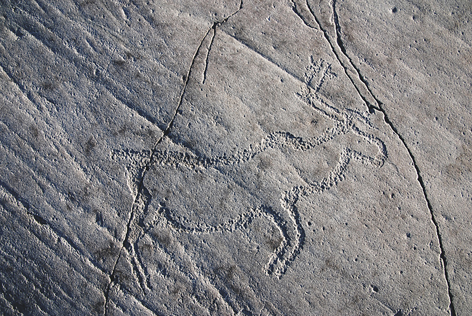 Norway Alta Sweden Rock Art Petroglyphs Pictographs Scandinavia