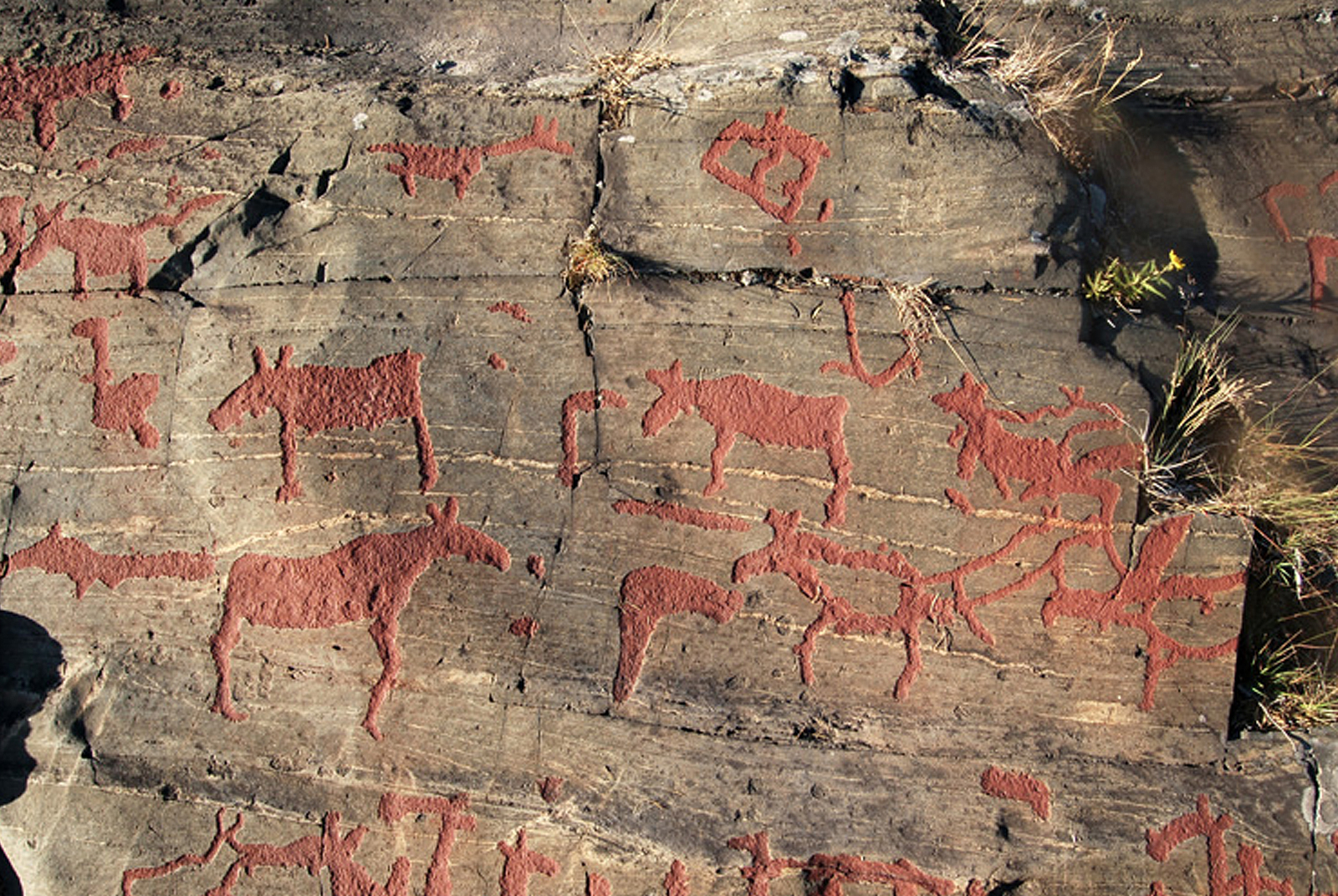 Namforsen Sweden Rock Art Petroglyphs Pictographs Scandinavia