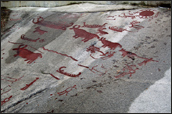 Sweden Scandinavian Prehistoric Rock Art