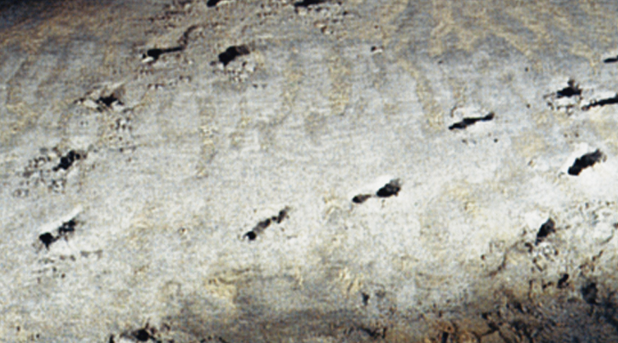 Ice Age Footprints